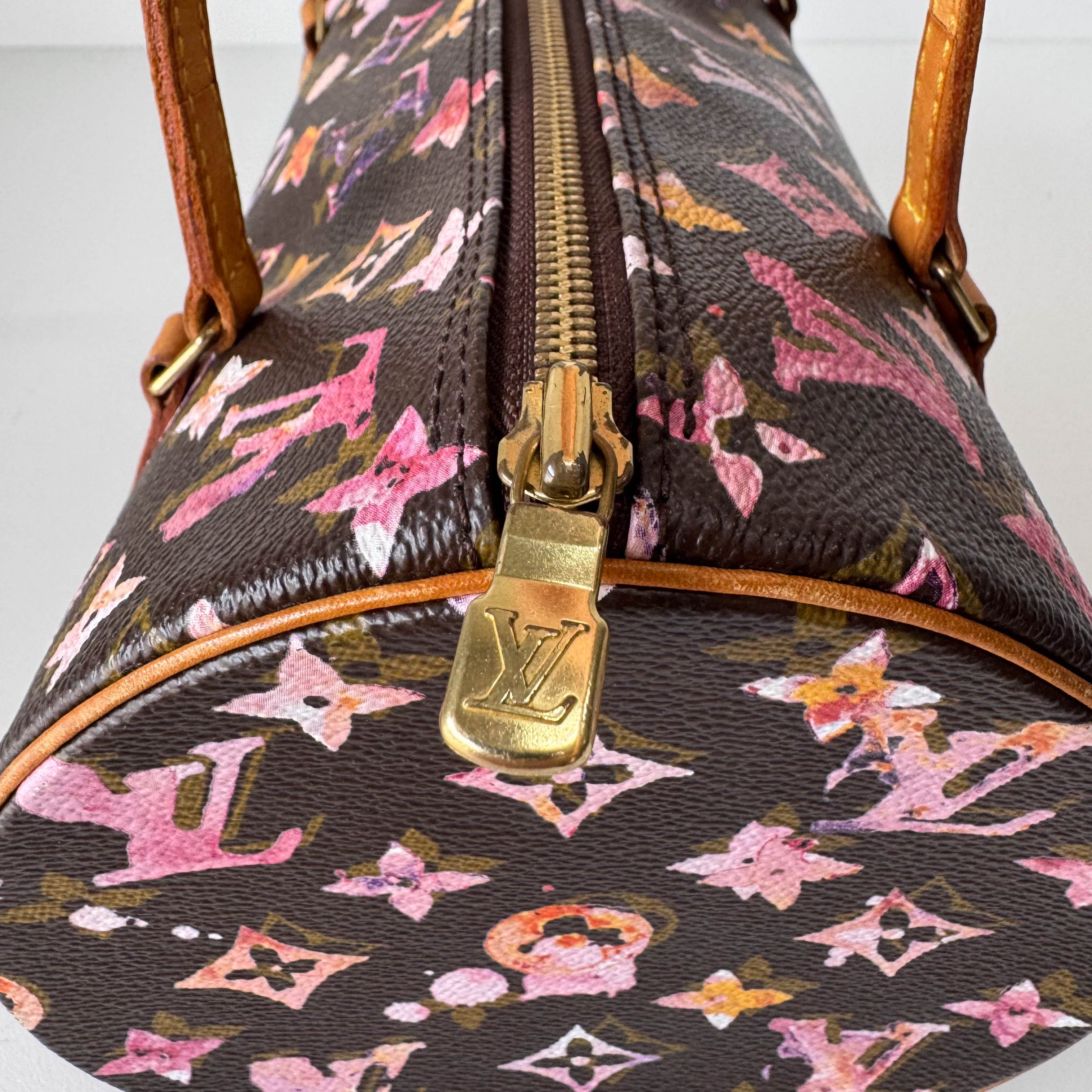 Watercolor Monogram Papillon Limited Edition Coated Canvas Bag