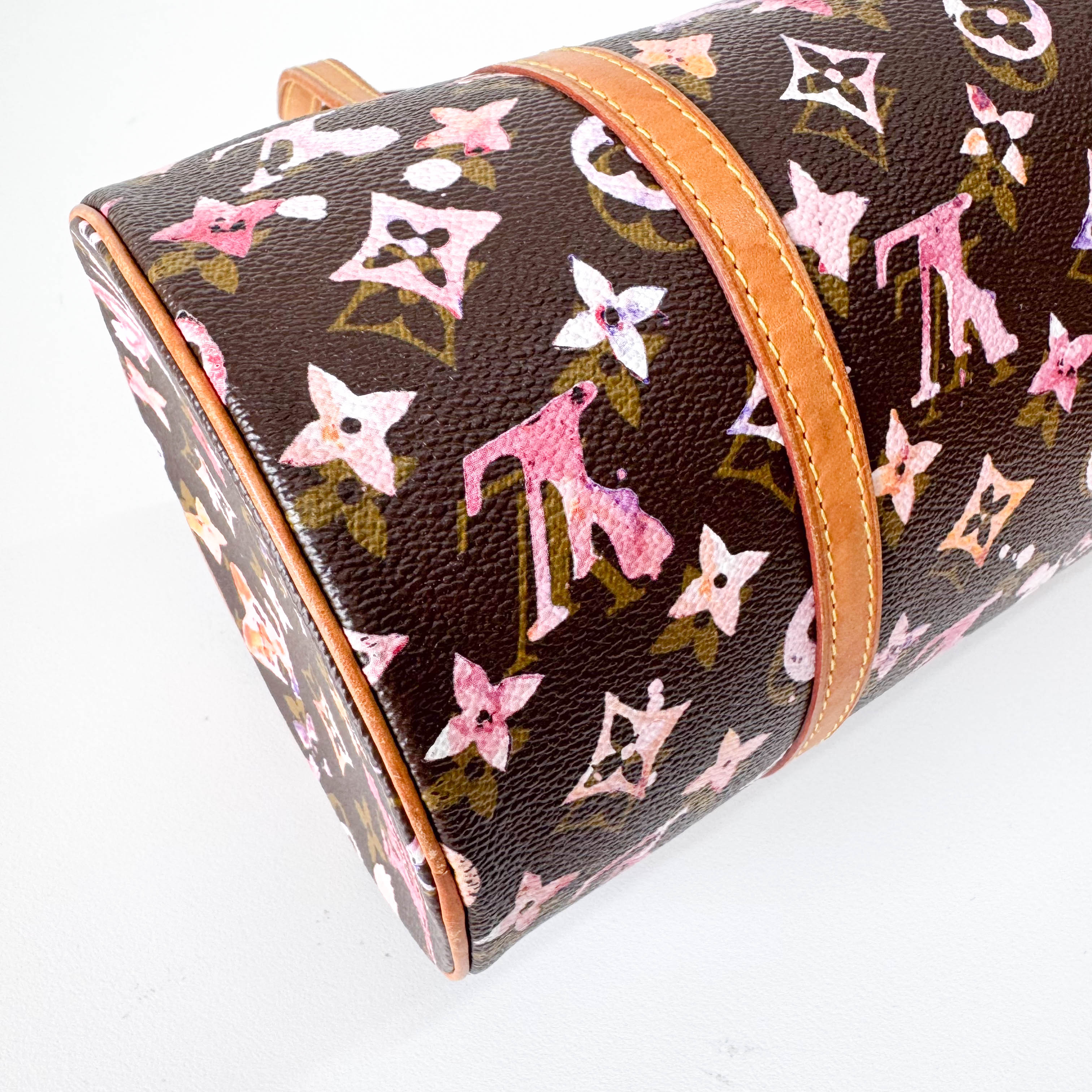 Watercolor Monogram Papillon Limited Edition Coated Canvas Bag