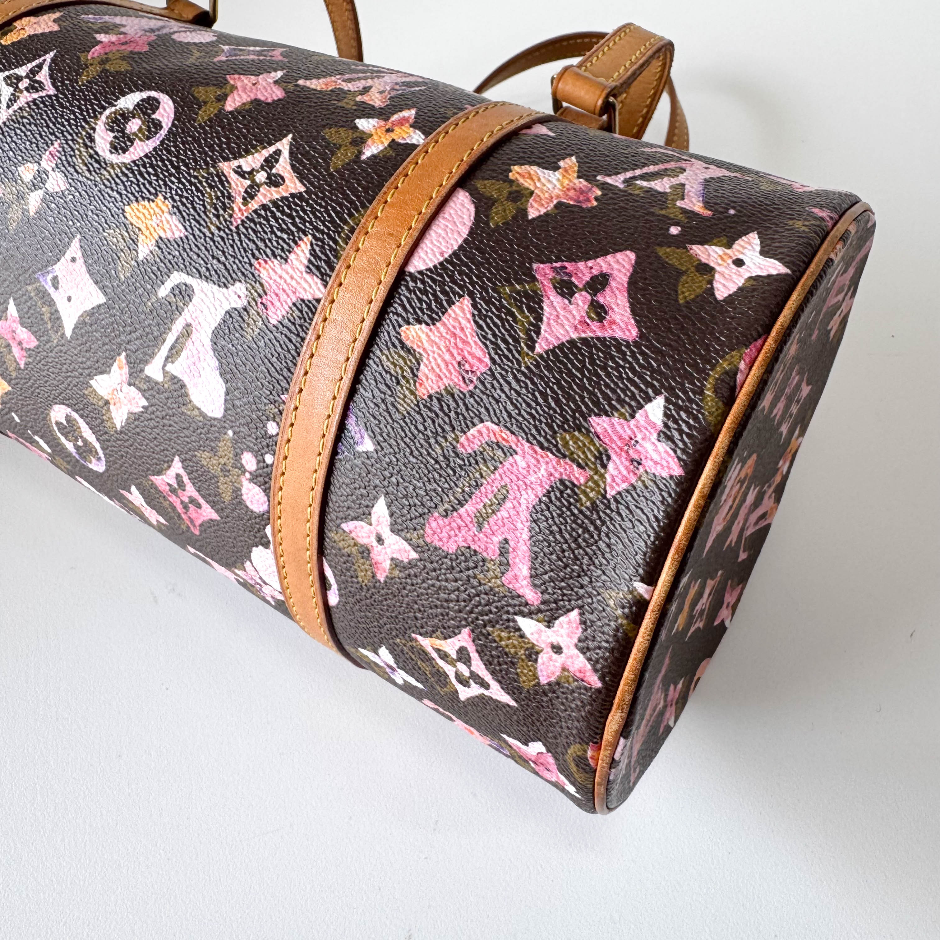 Watercolor Monogram Papillon Limited Edition Coated Canvas Bag