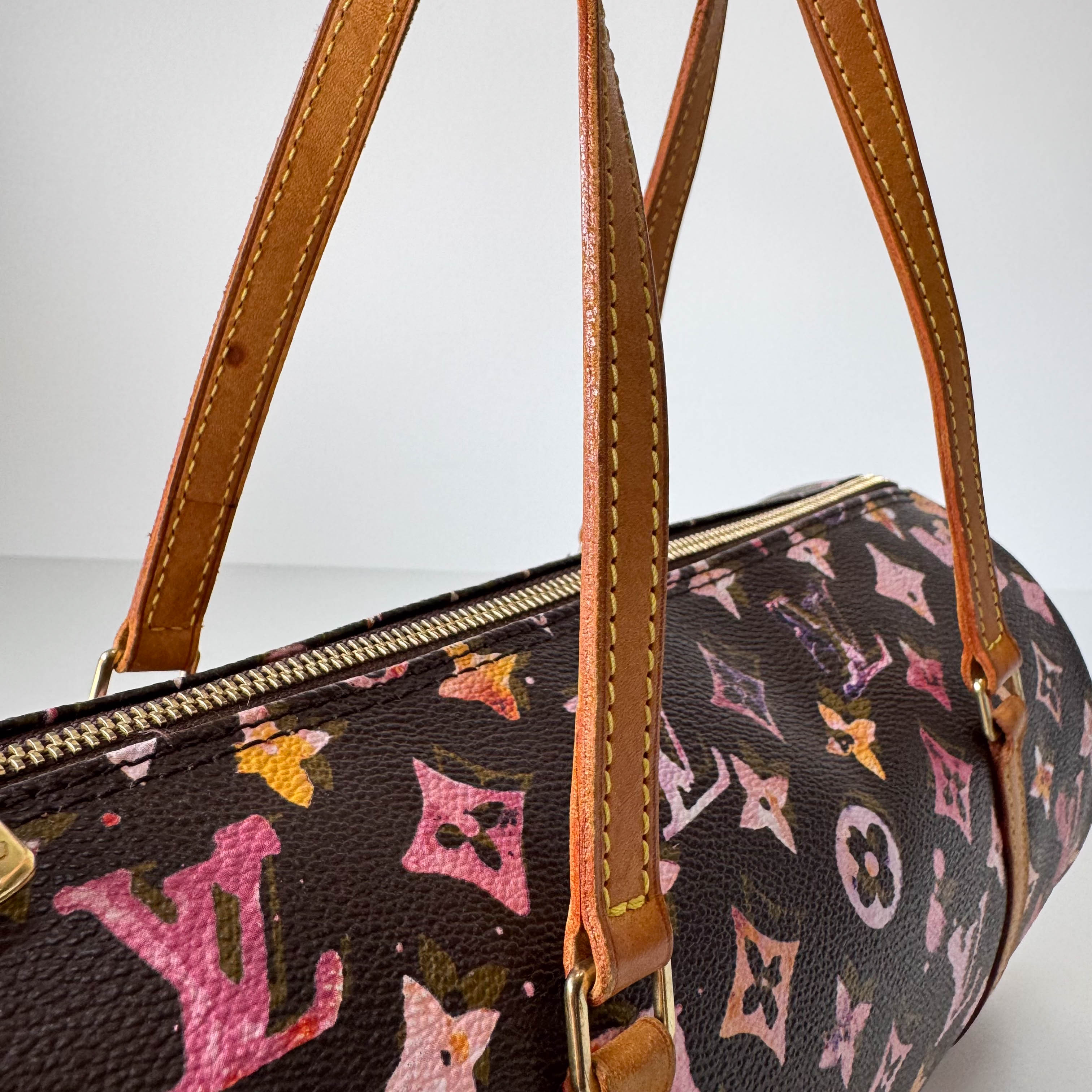 Watercolor Monogram Papillon Limited Edition Coated Canvas Bag