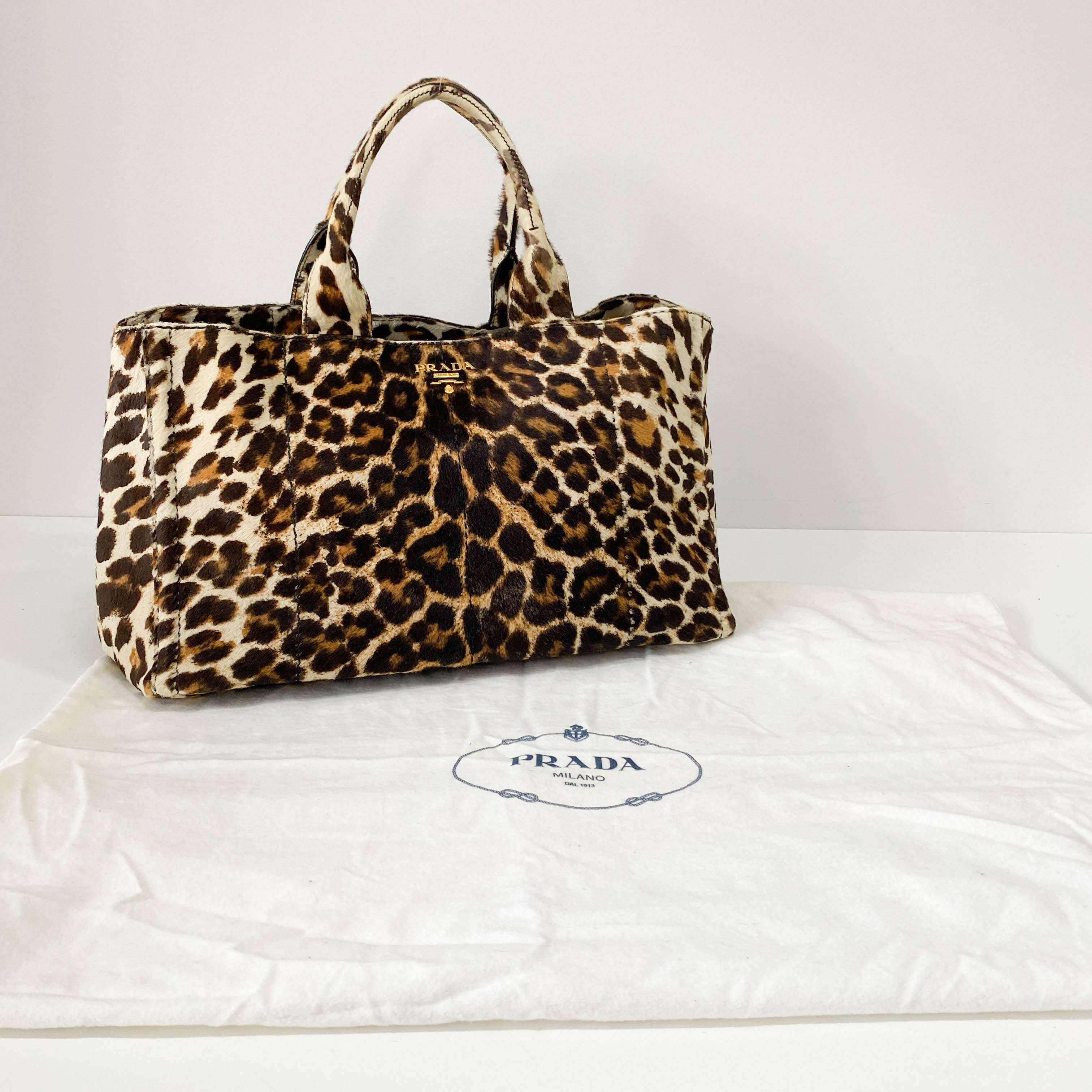Canapa Leopard Pony Hair Tote Bag