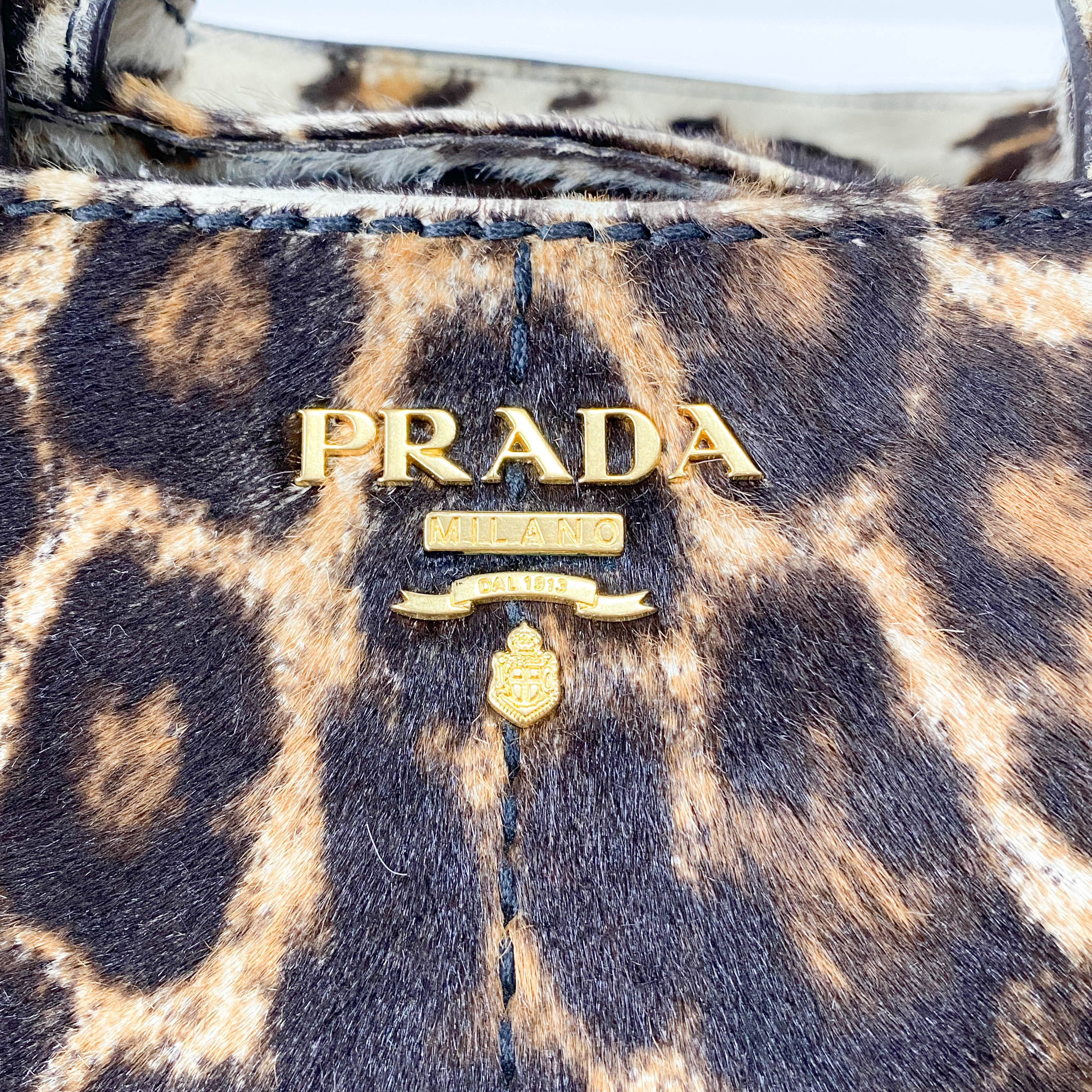 Canapa Leopard Pony Hair Tote Bag