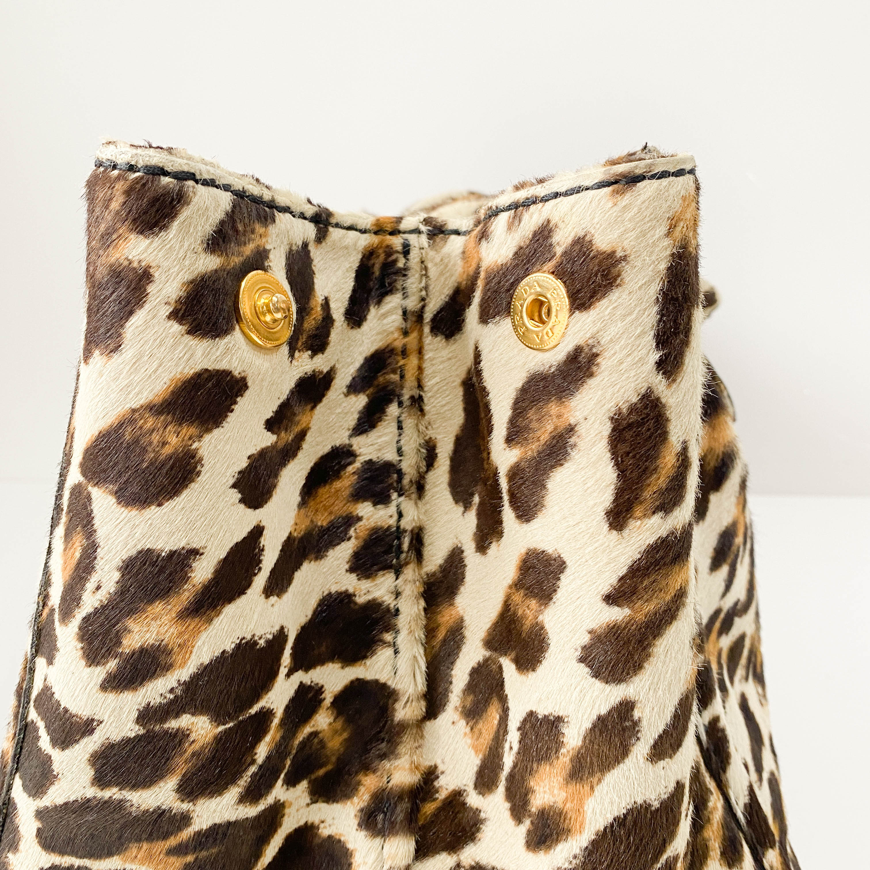 Canapa Leopard Pony Hair Tote Bag