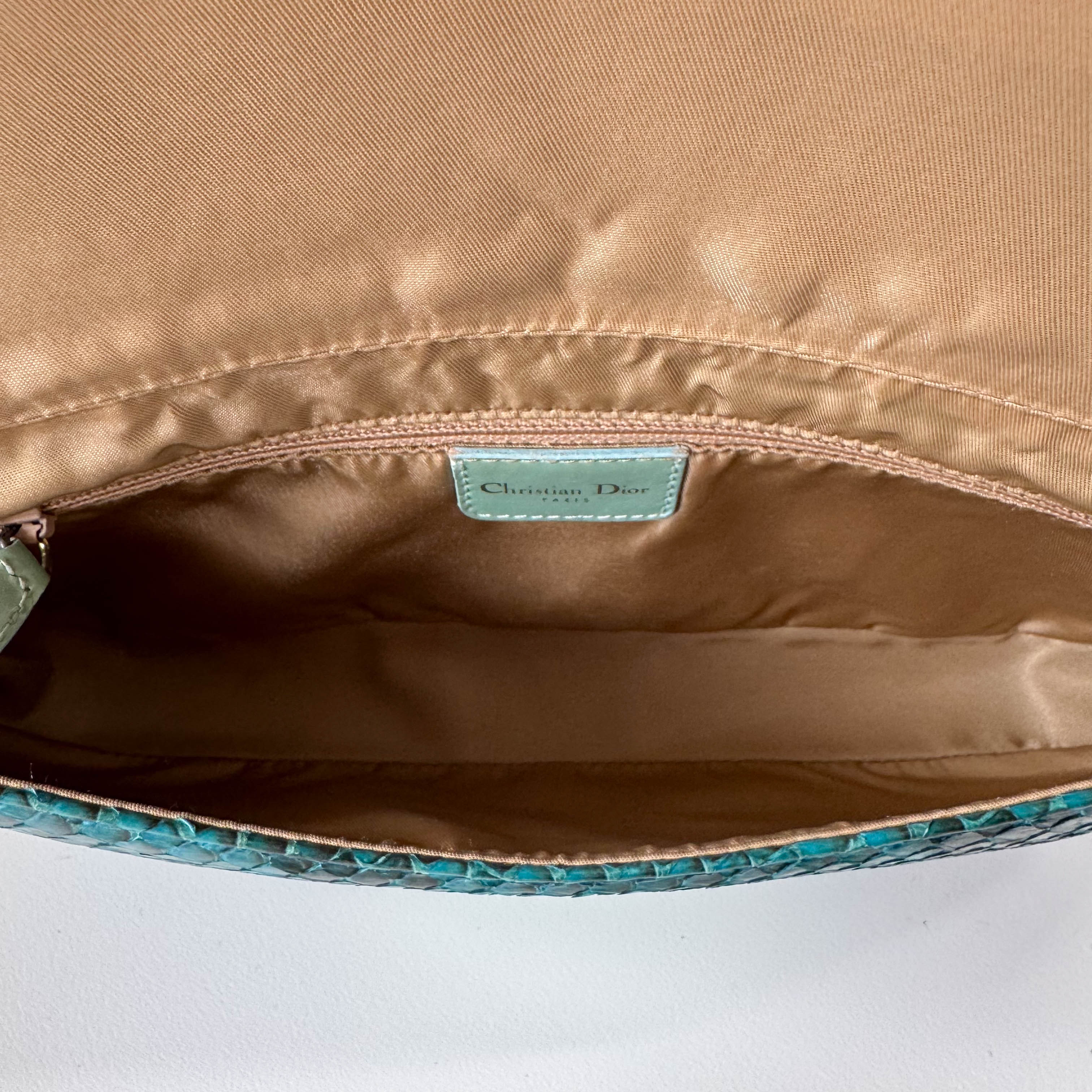 Malice Pearl Turquoise Python Shoulder Bag