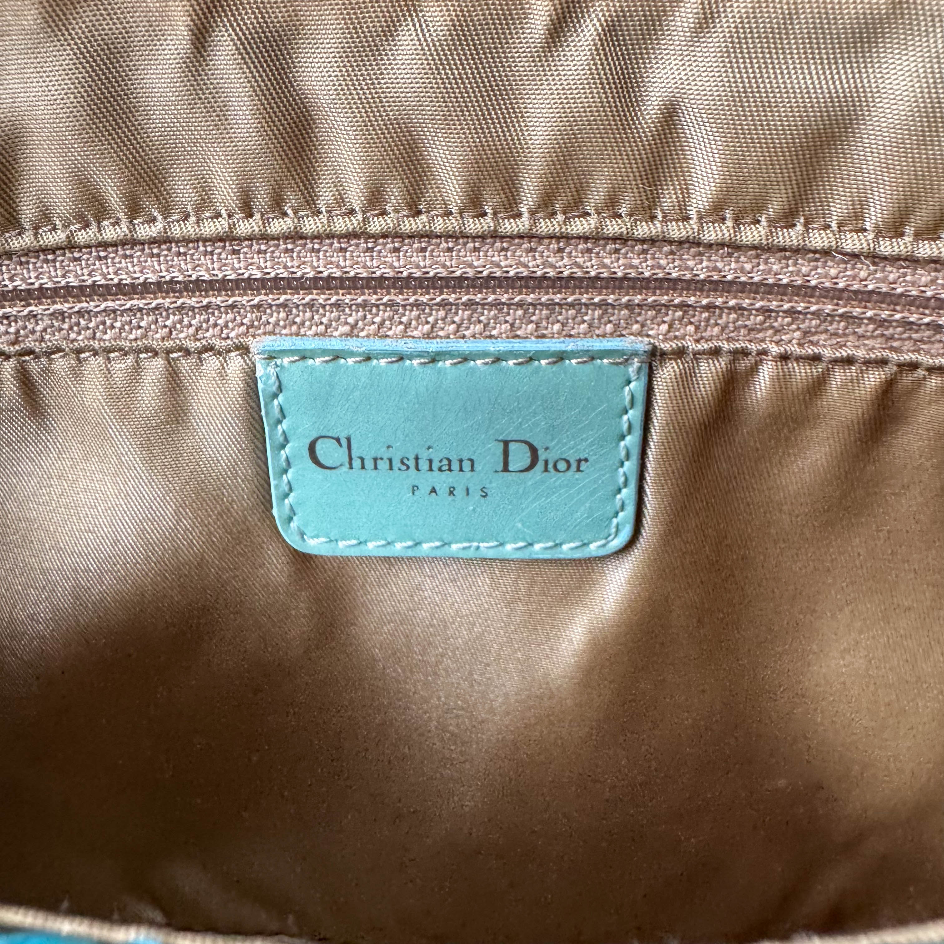 Malice Pearl Turquoise Python Shoulder Bag