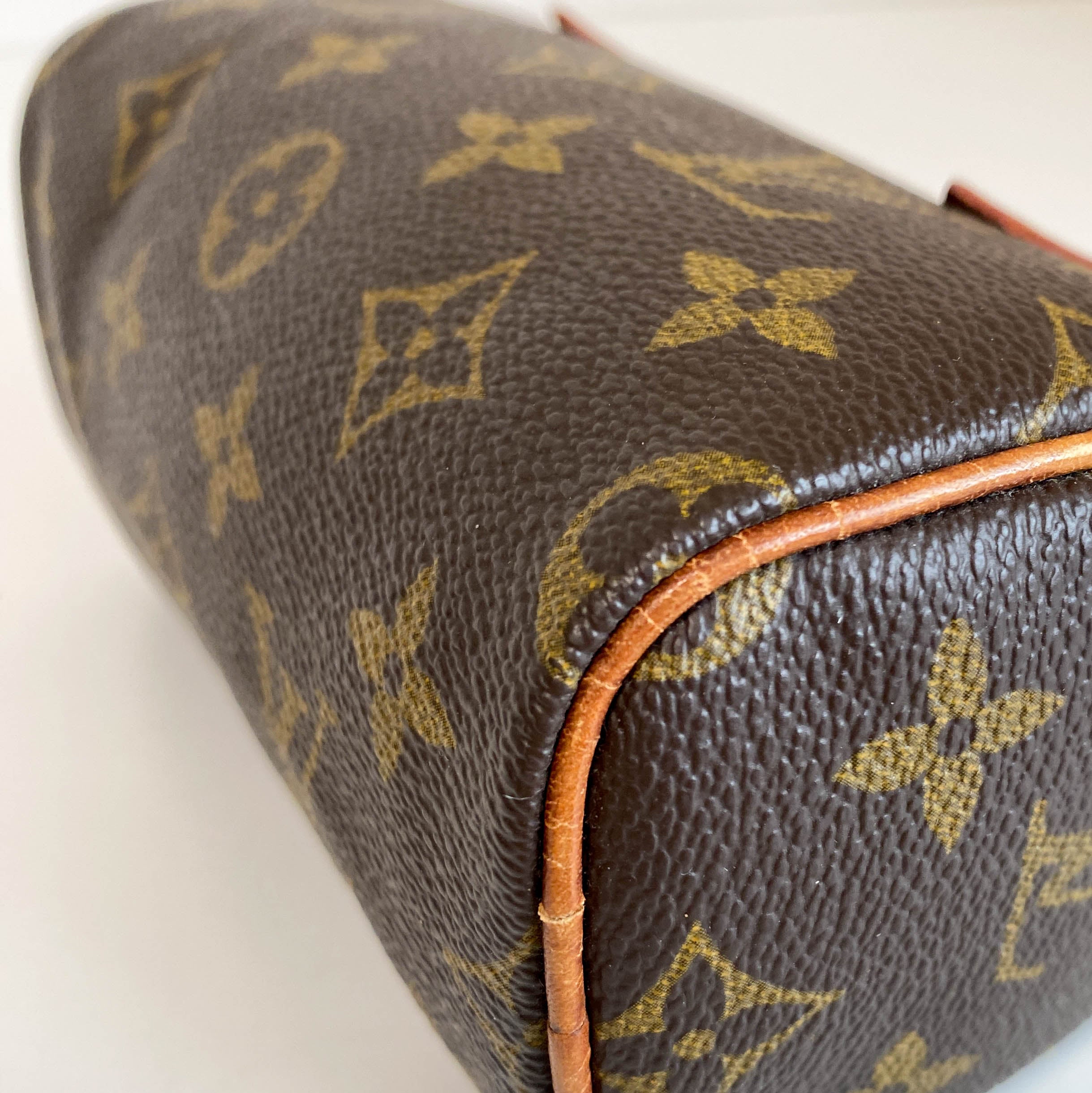 Nano Speedy / Mini HL Monogram Handbag