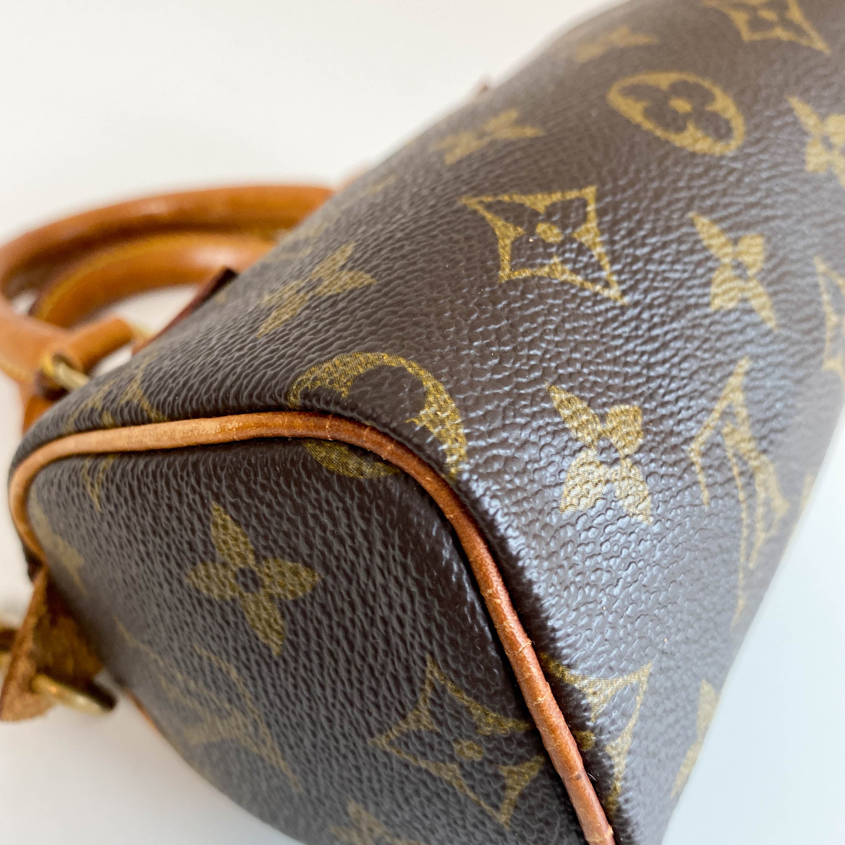 Nano Speedy / Mini HL Monogram Handbag