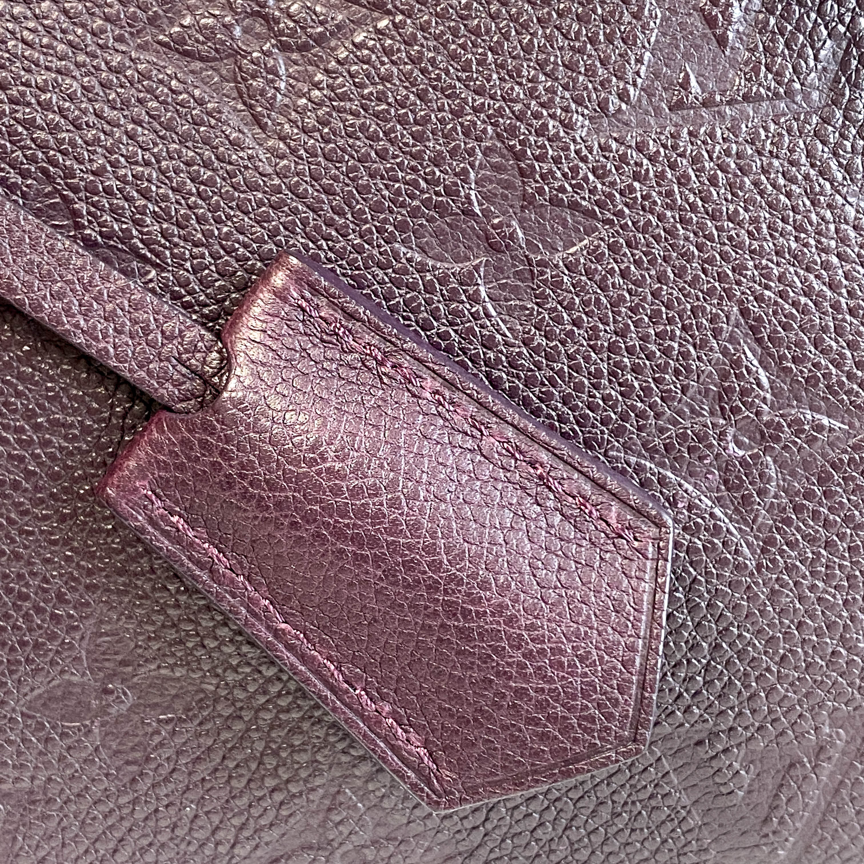Speedy Bandoulière 30 Purple Monogram Empreinte
