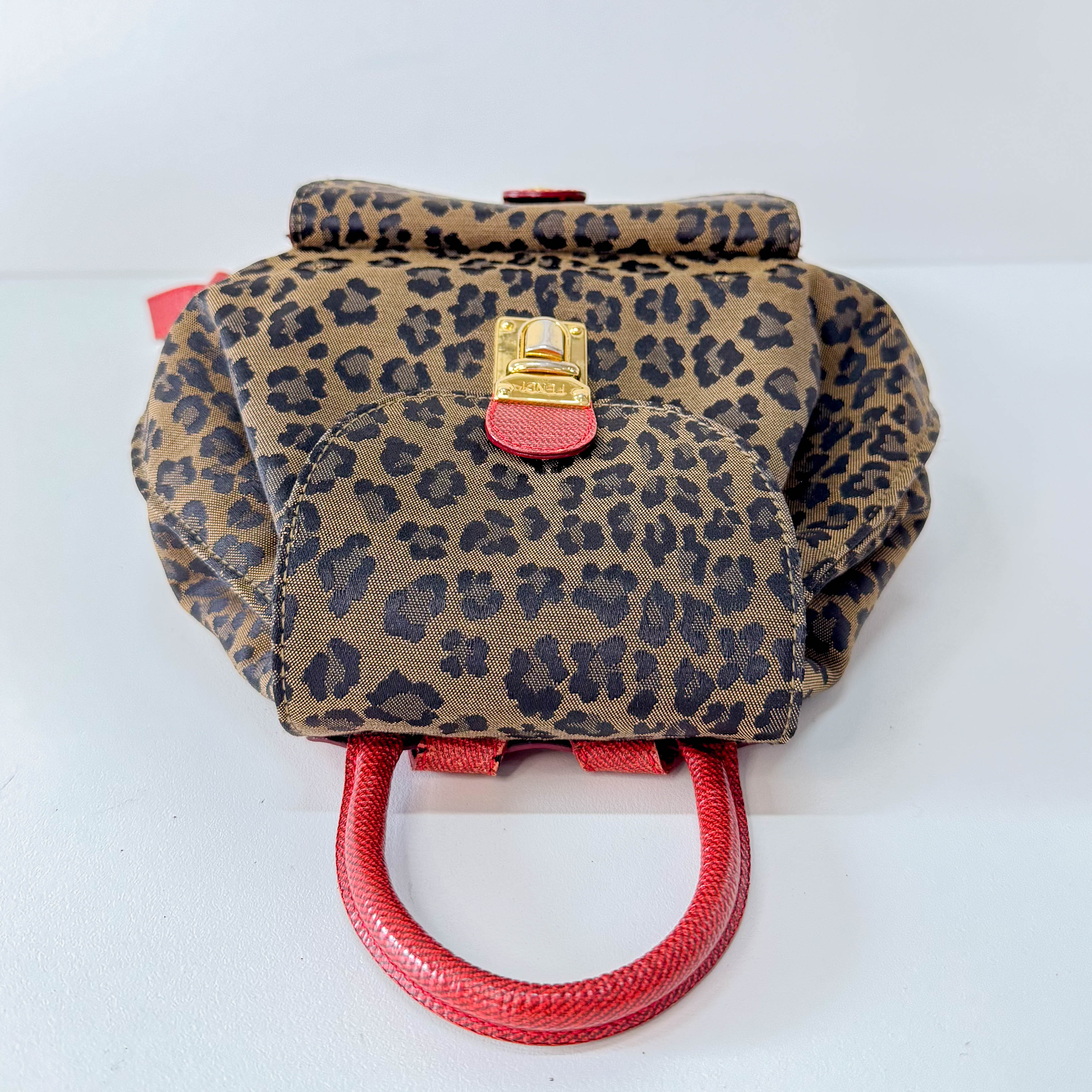 Vintage Leopard Back Pack