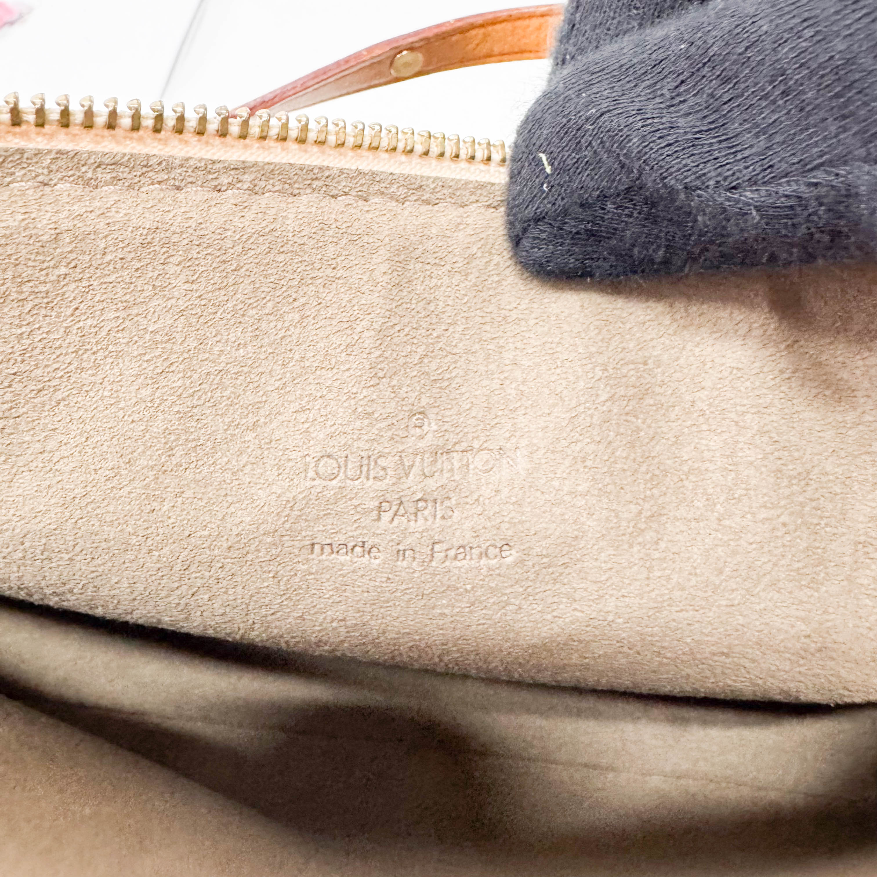 Takashi Murakami Pochette Accessoire Multi-colour Black Monogram Coated Canvas Bag