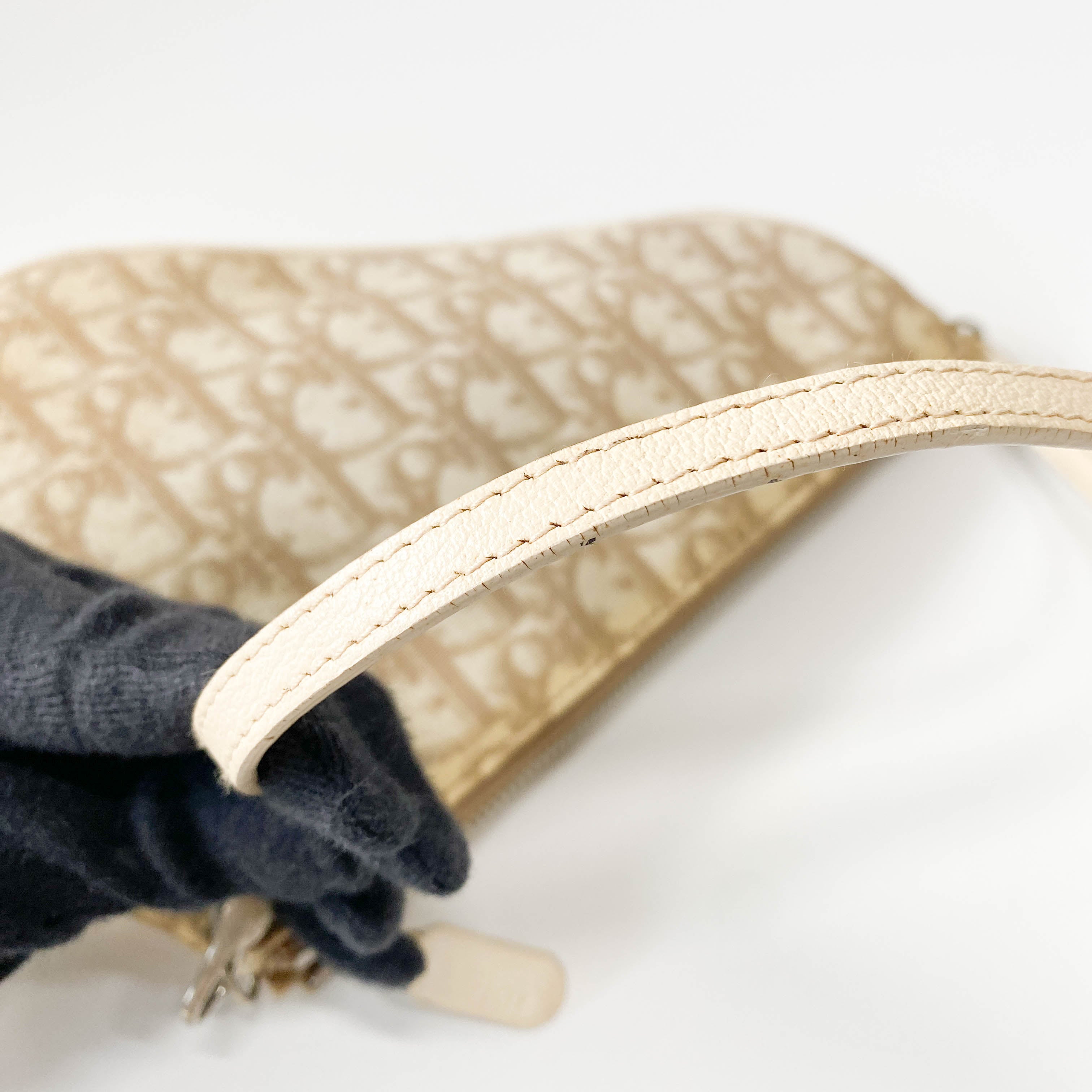 Trotter Nude Coated Canvas Red Flower Embroidery Saddle Bag