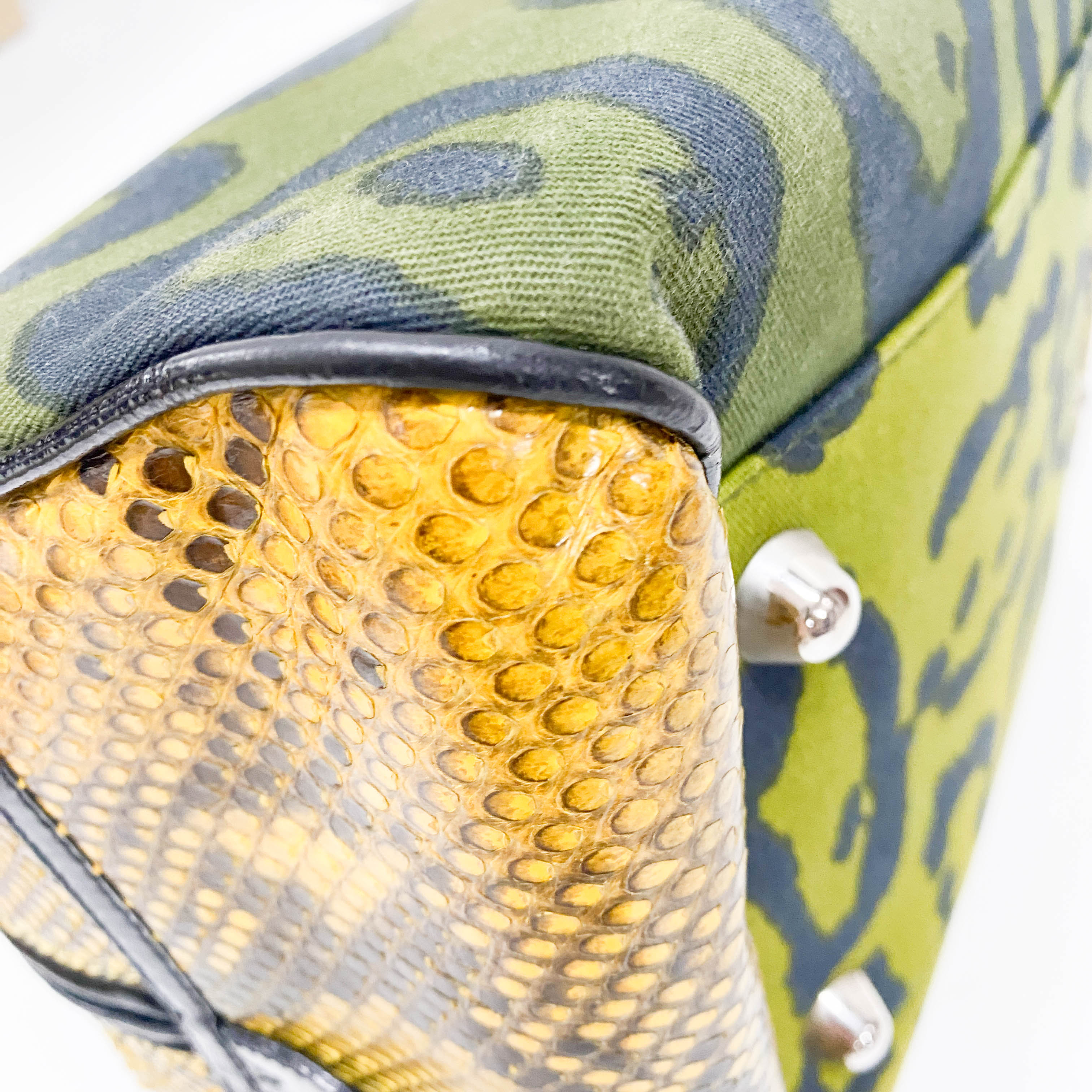 Gambler Dice Leopard Print Canvas & Embossed Leather Handbag