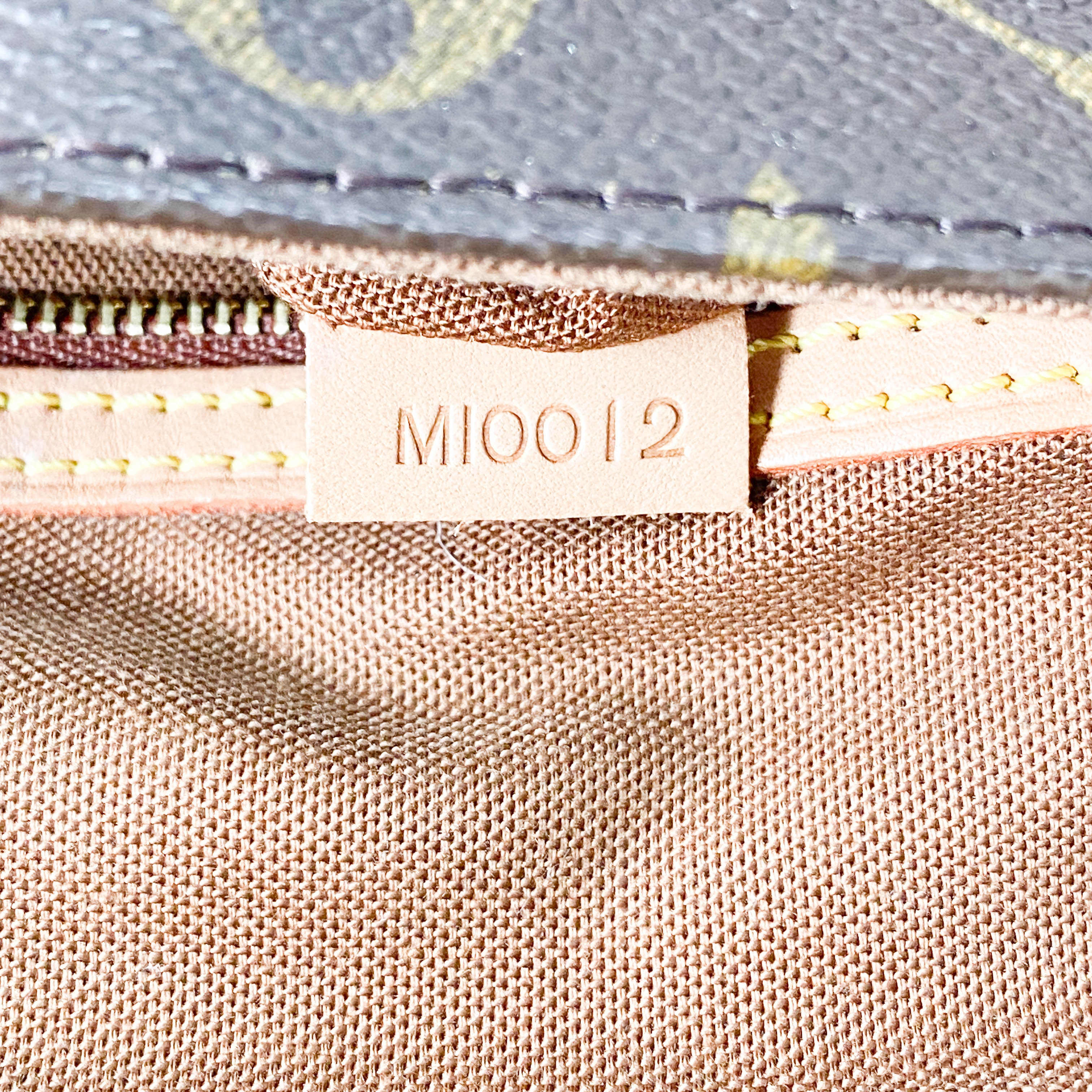 Monogram Mini Looping PM