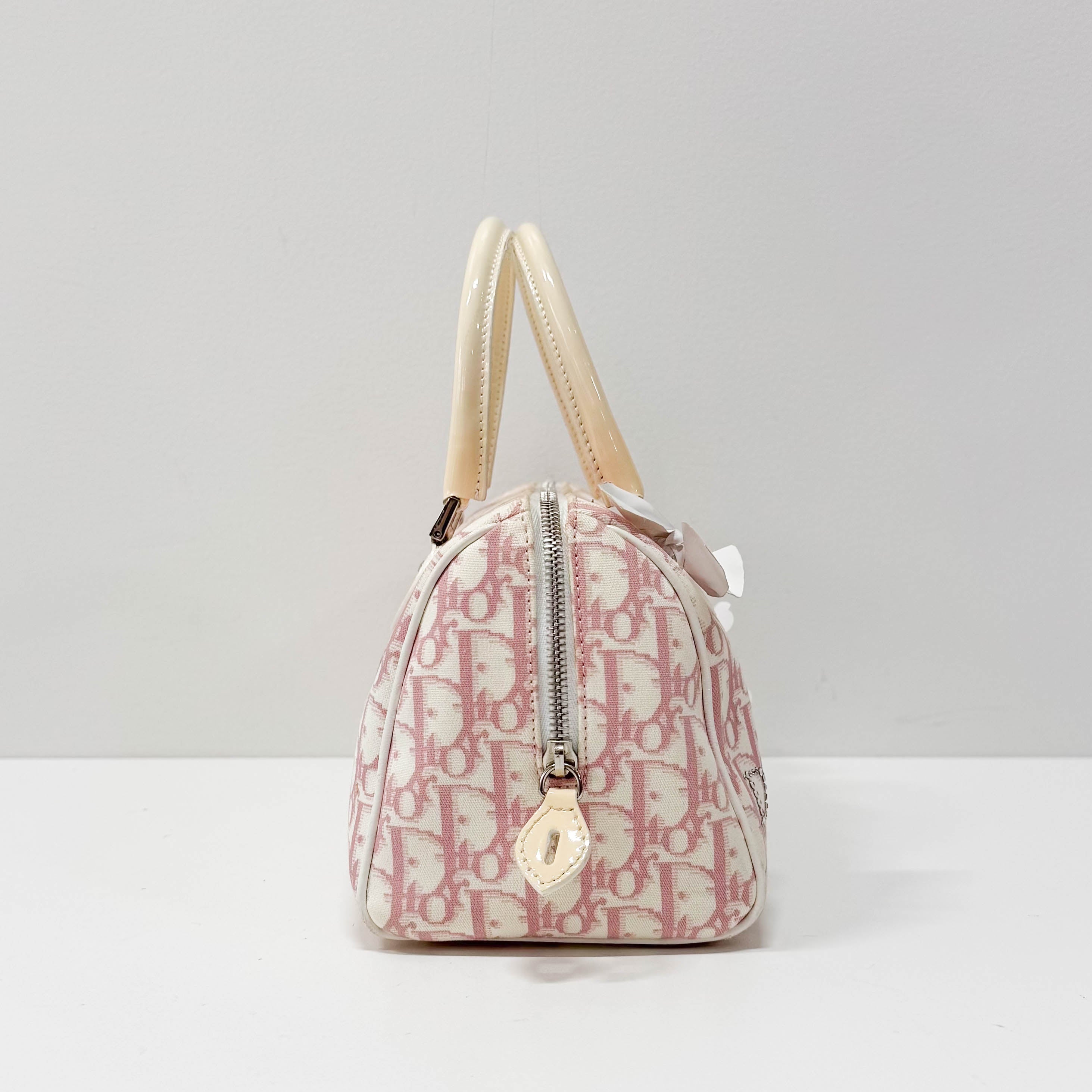 Trotter Boston Pink Canvas Handbag