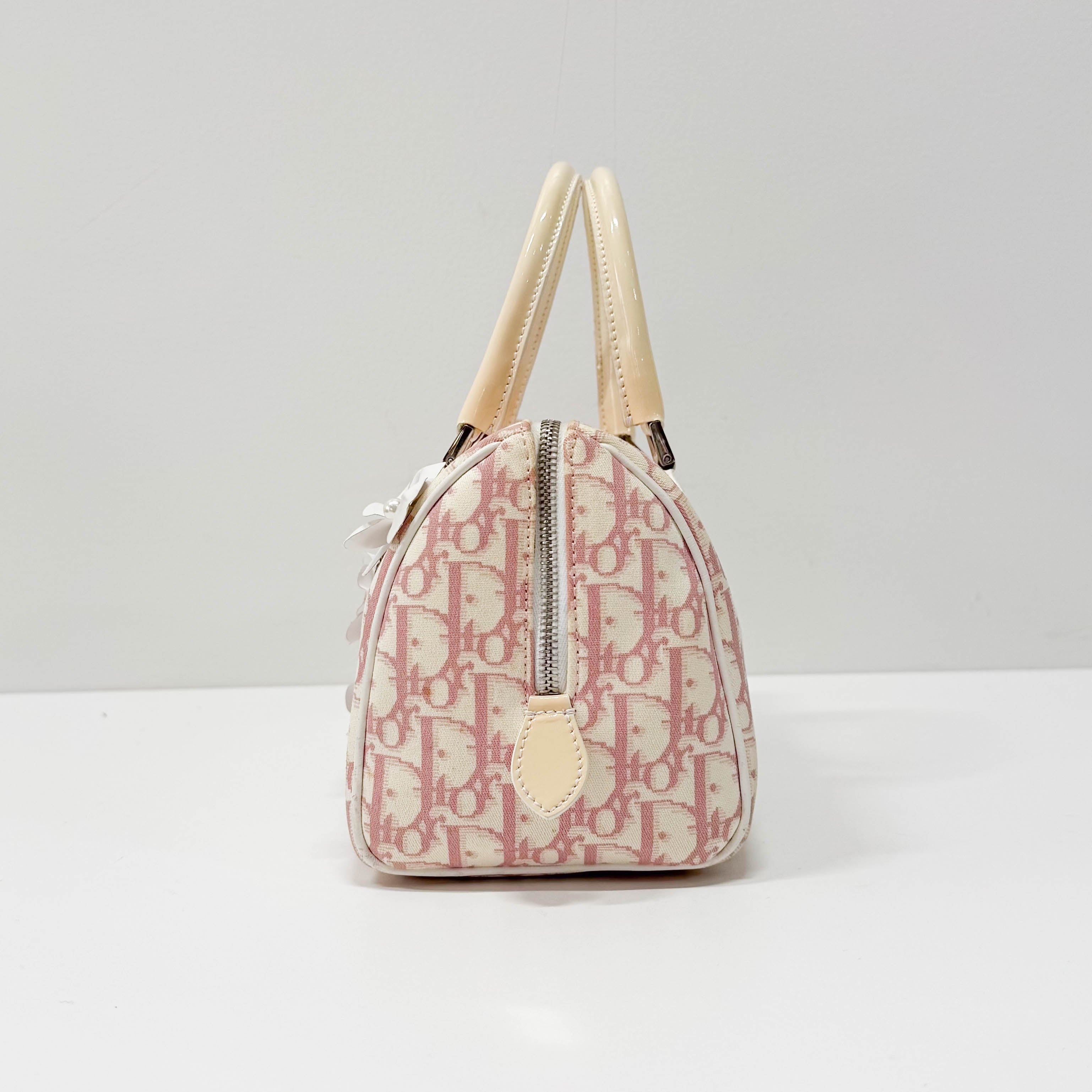 Trotter Boston Pink Canvas Handbag