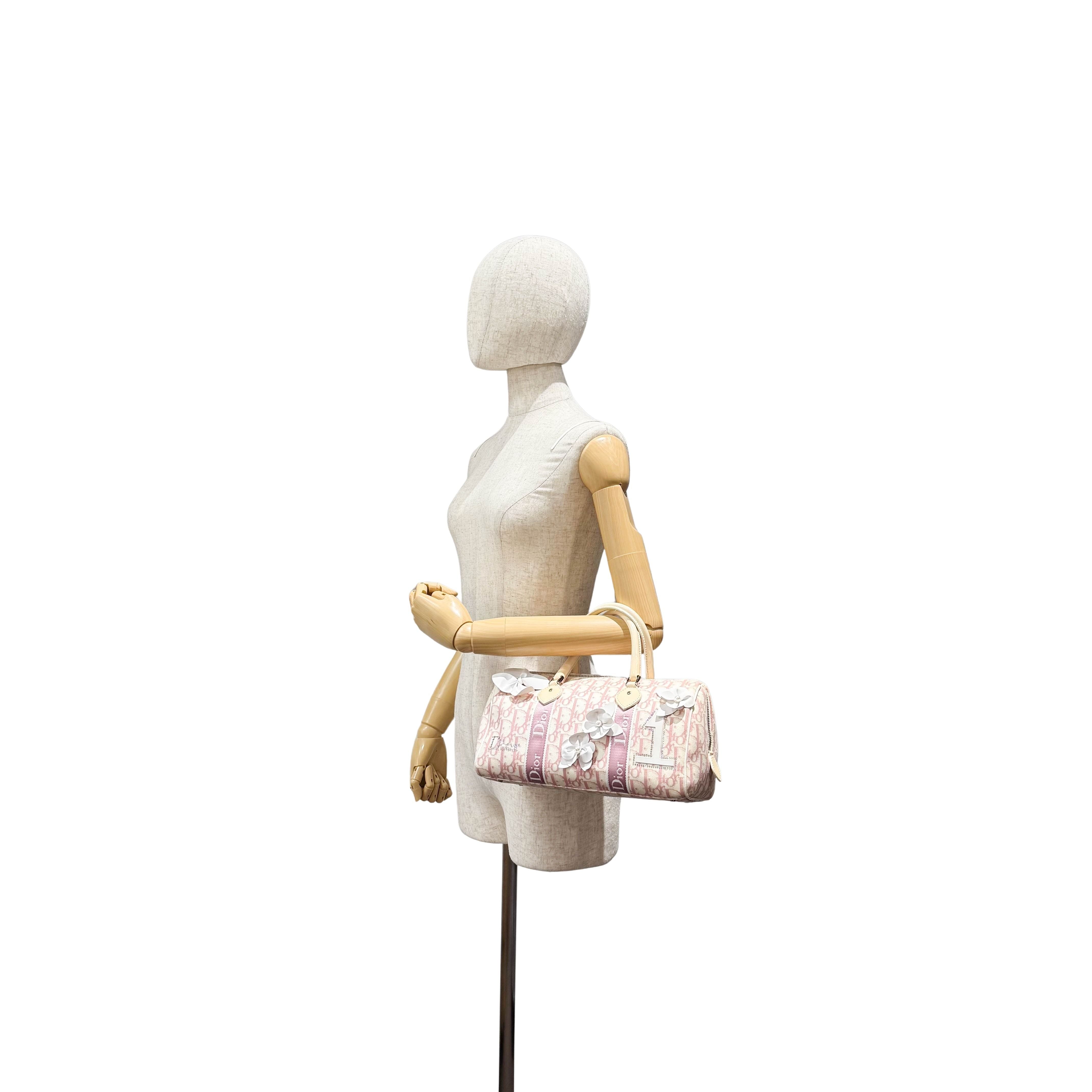 Trotter Boston Pink Canvas Handbag