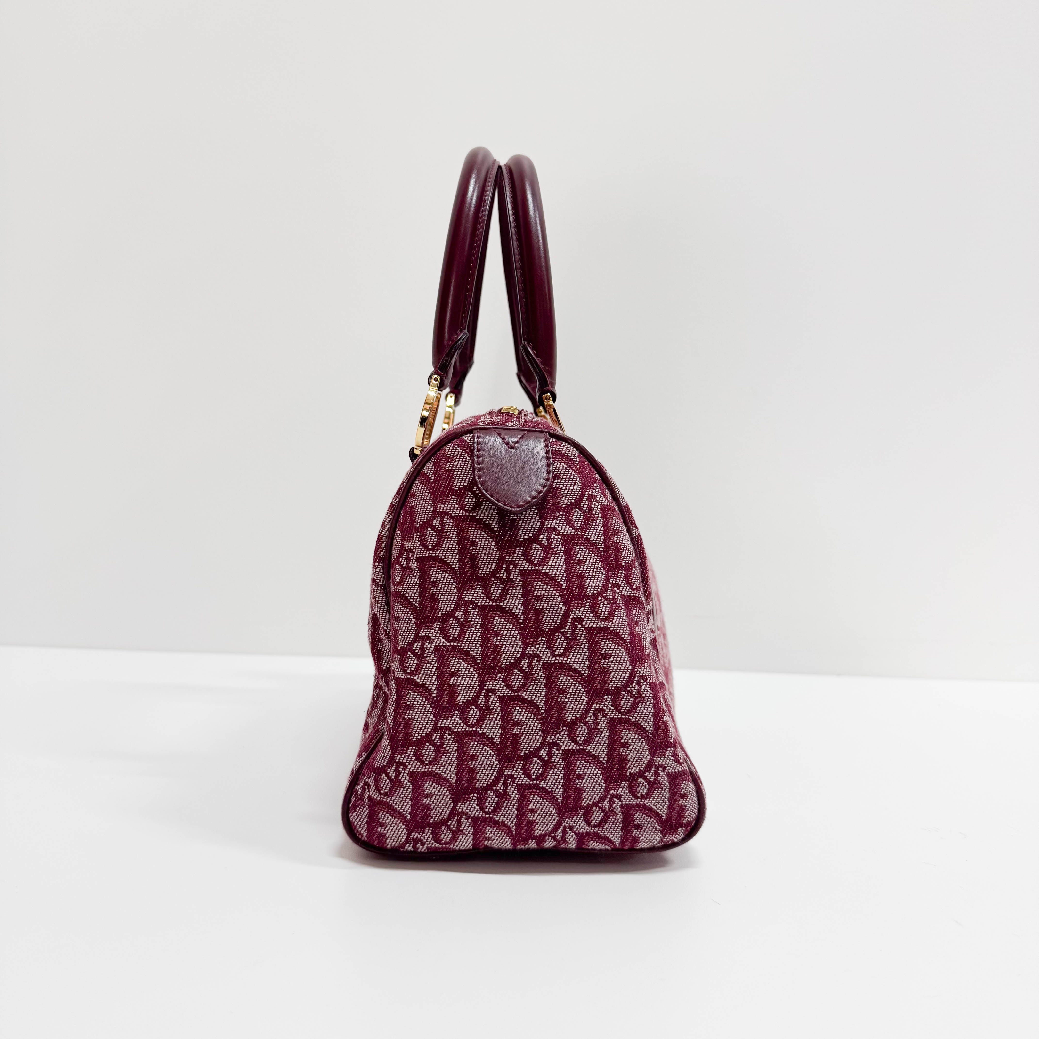 Trotter Red Canvas Handbag