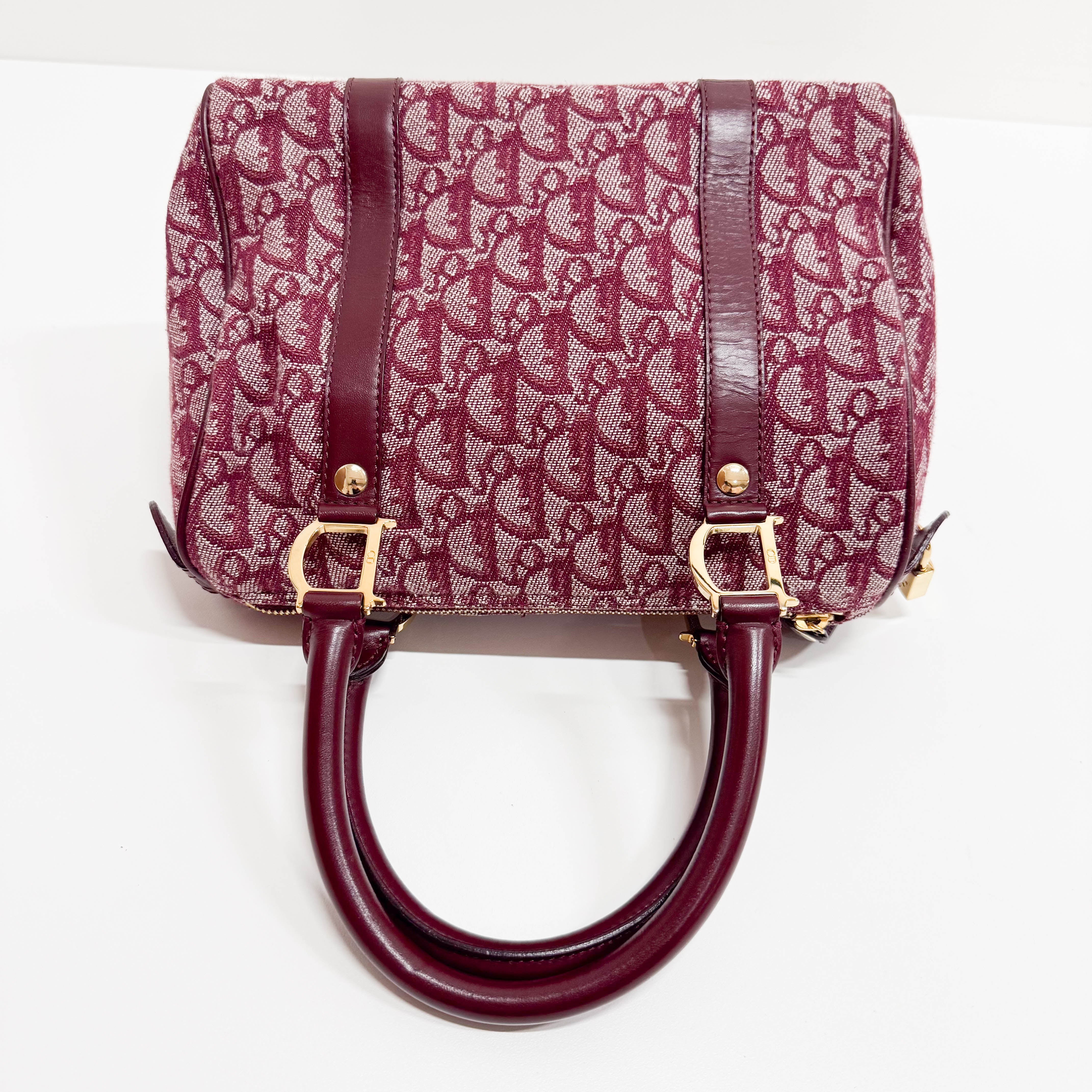 Trotter Red Canvas Handbag