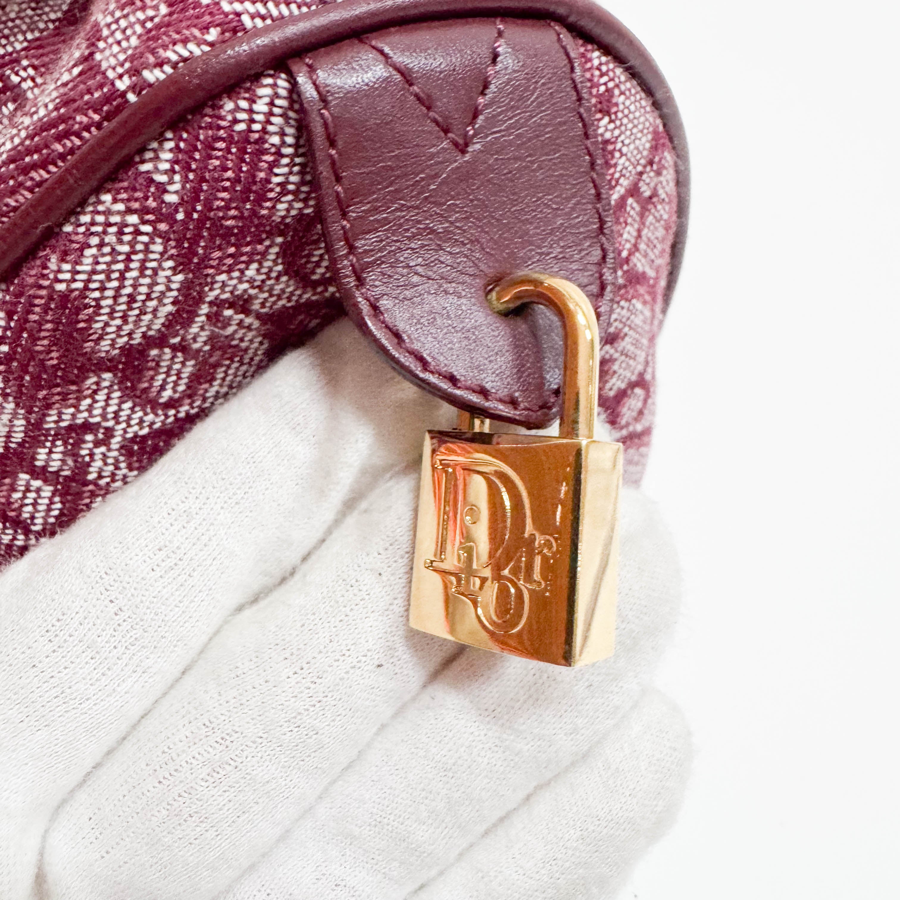 Trotter Red Canvas Handbag