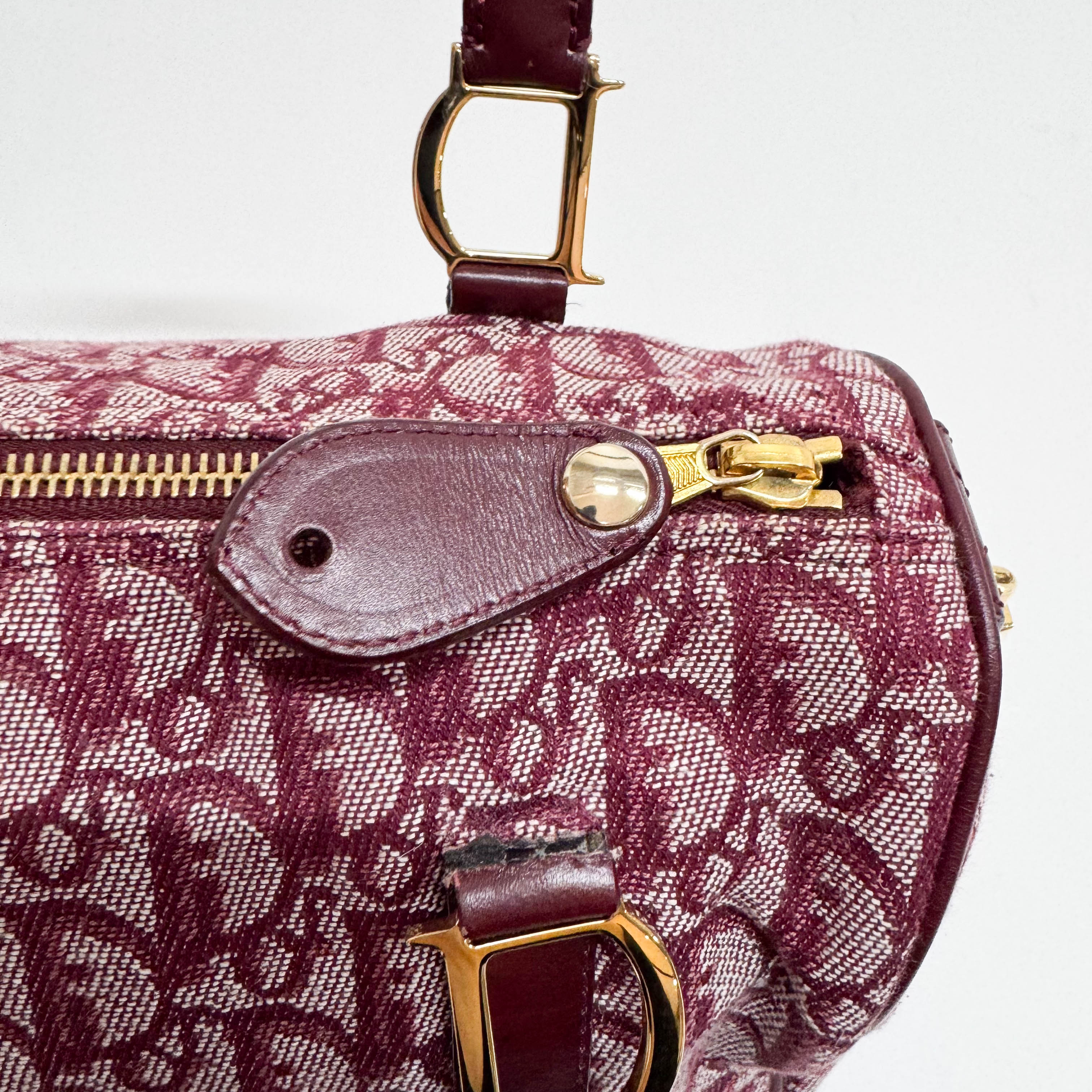 Trotter Red Canvas Handbag