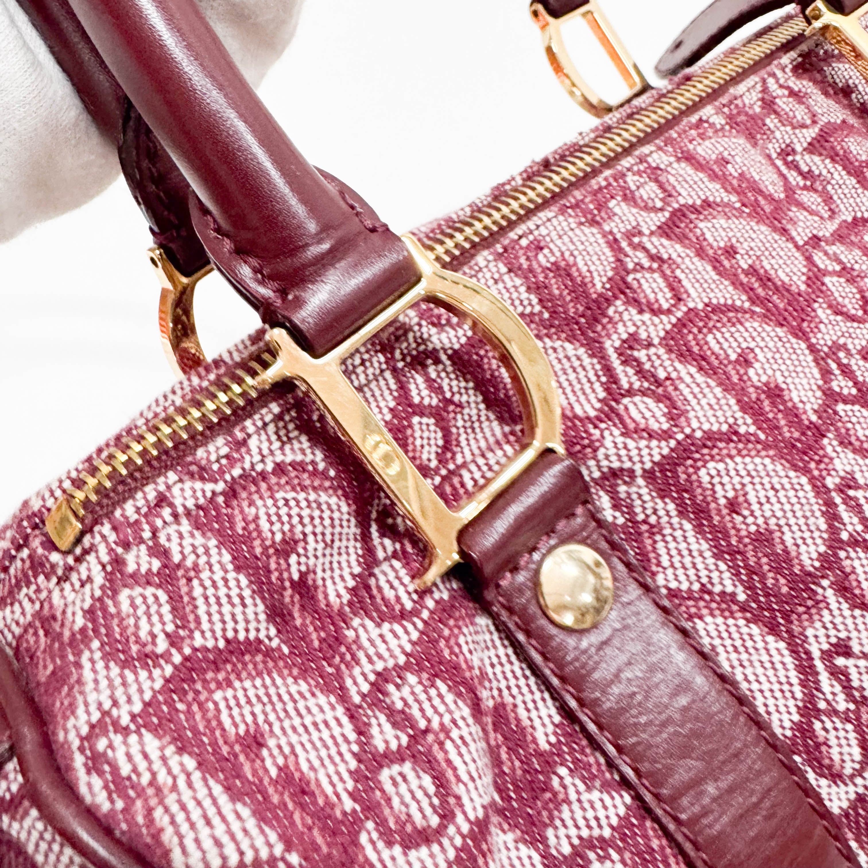 Trotter Red Canvas Handbag