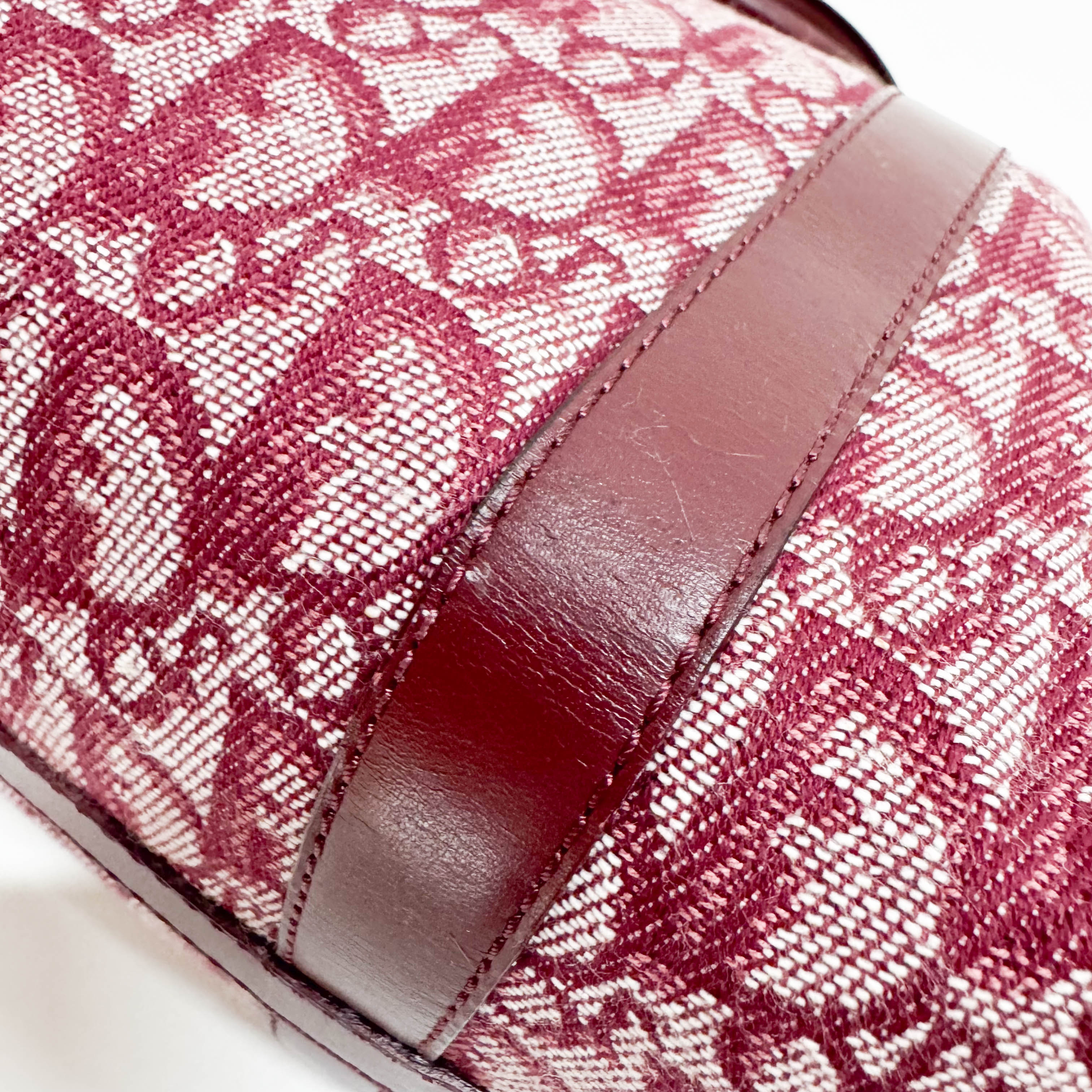 Trotter Red Canvas Handbag