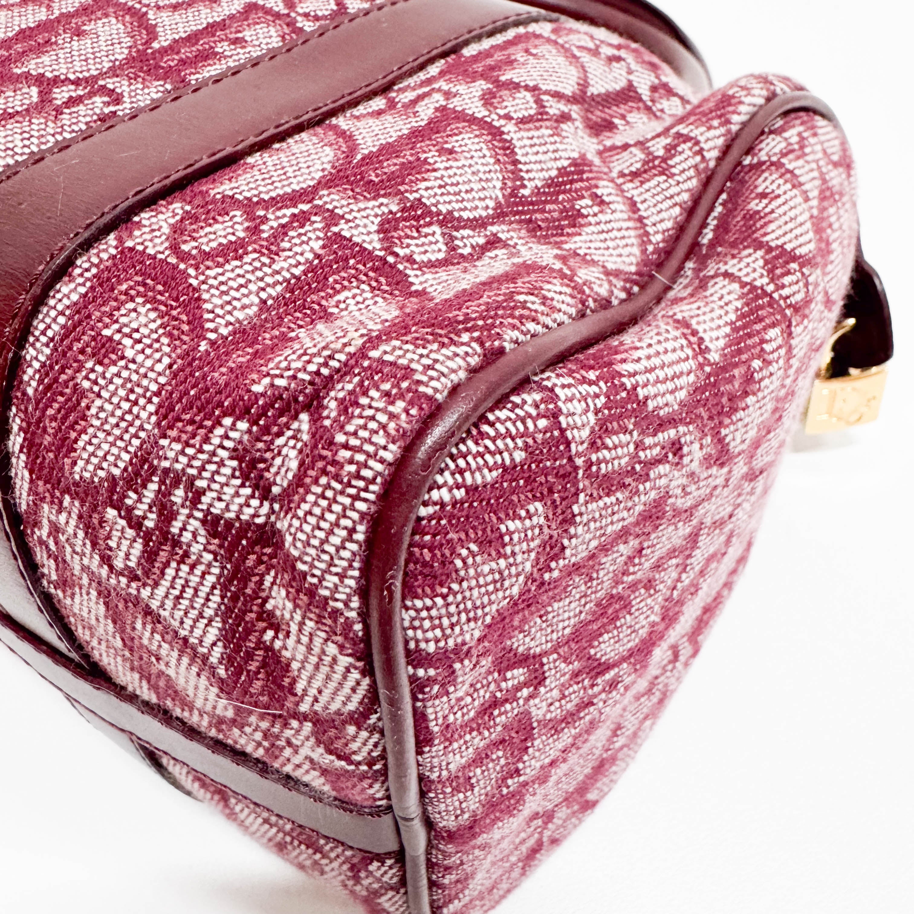 Trotter Red Canvas Handbag