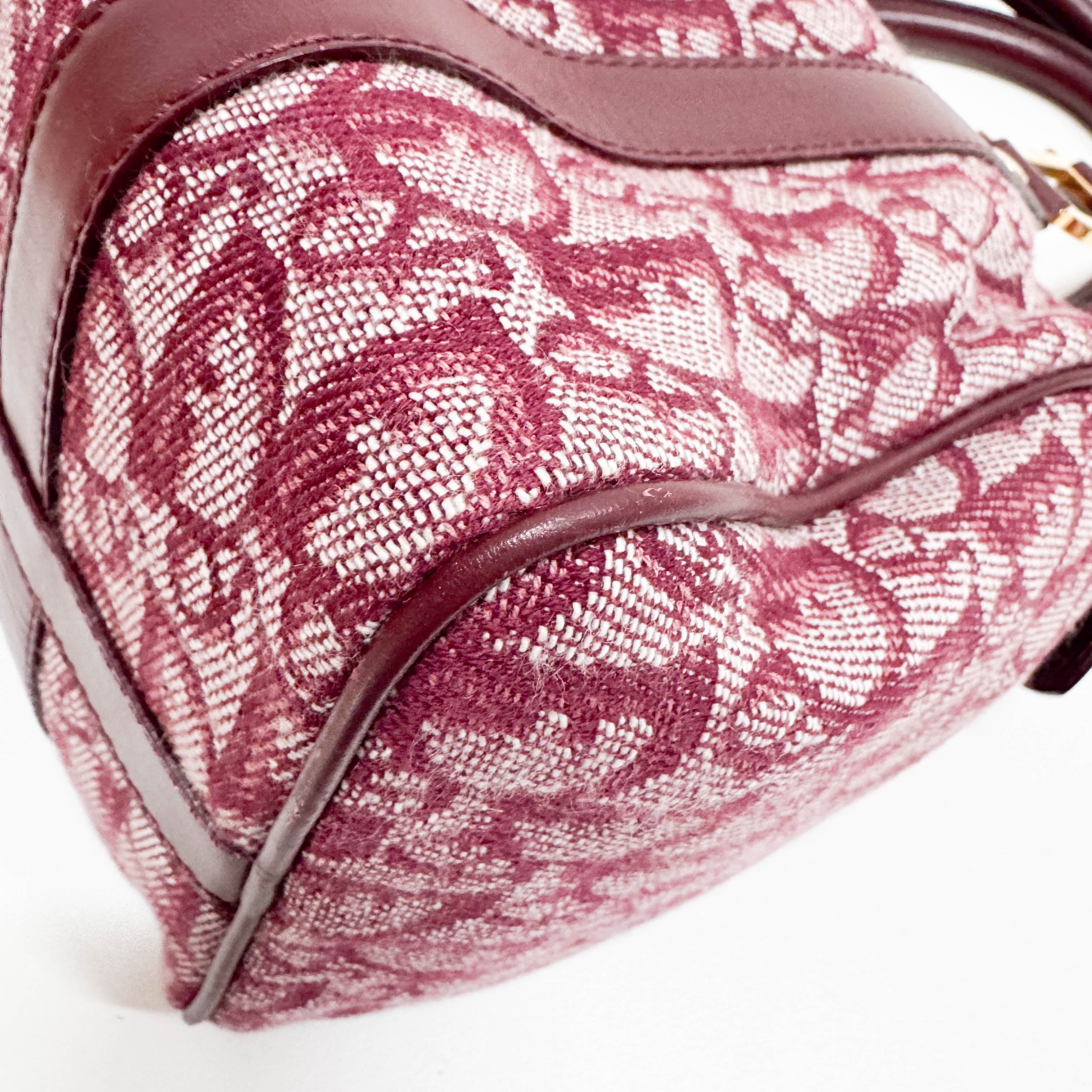 Trotter Red Canvas Handbag