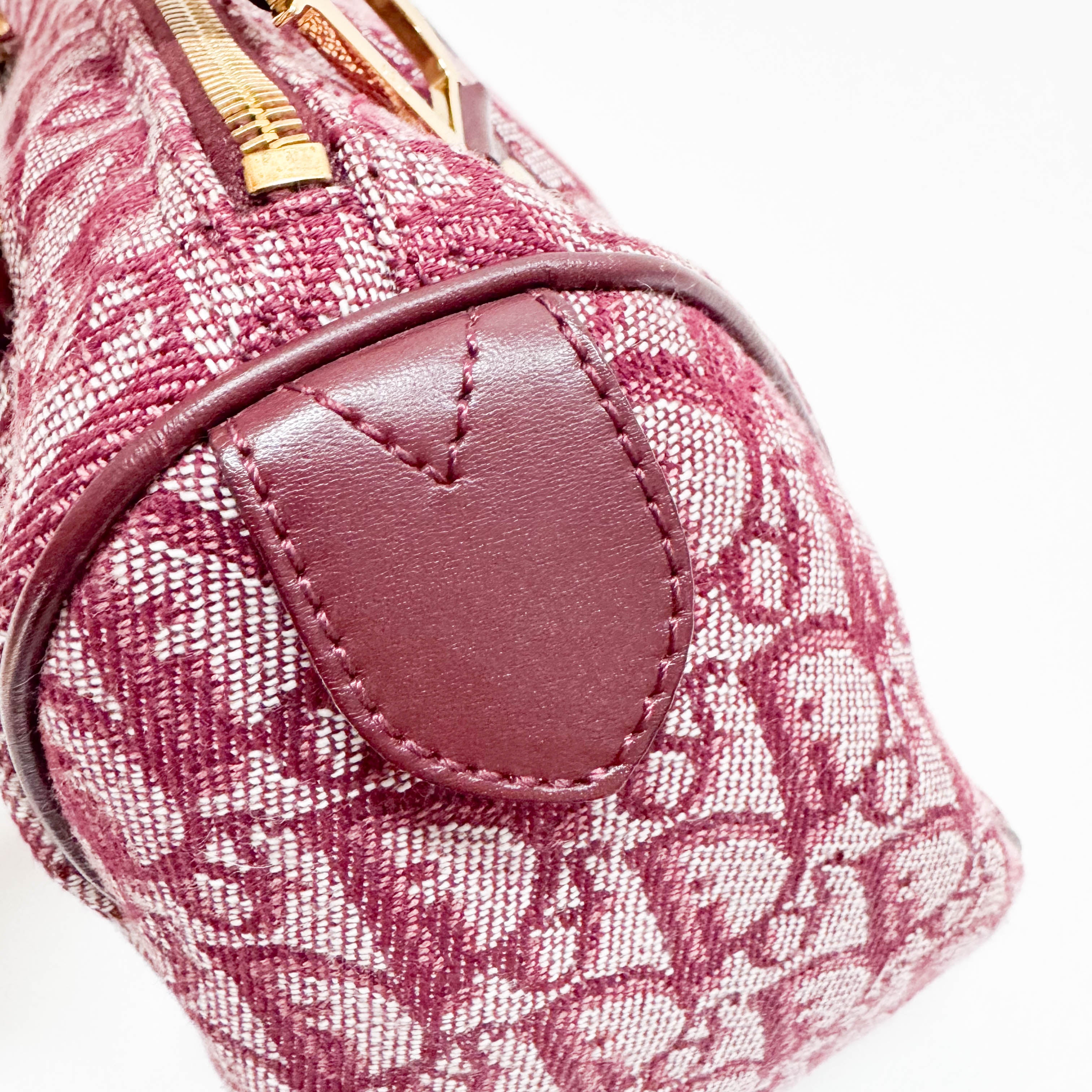 Trotter Red Canvas Handbag