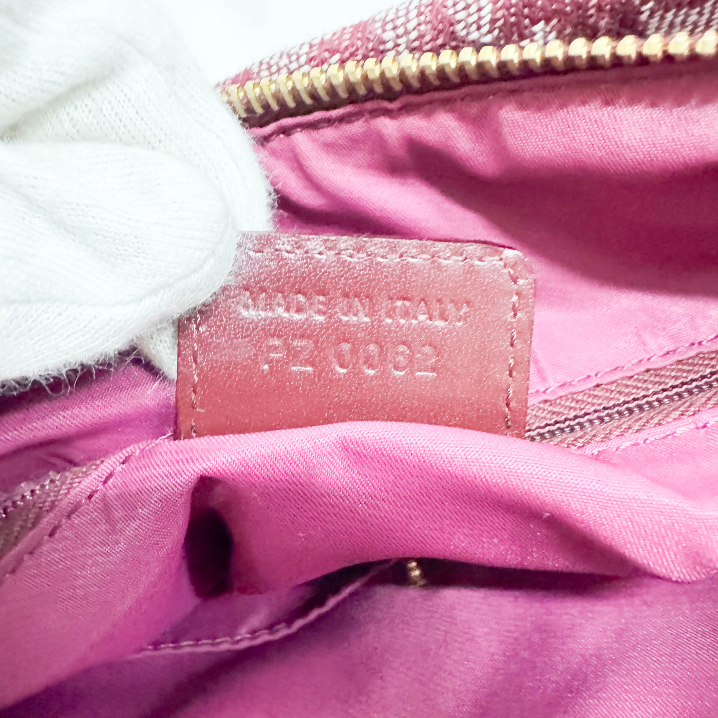 Trotter Red Canvas Handbag