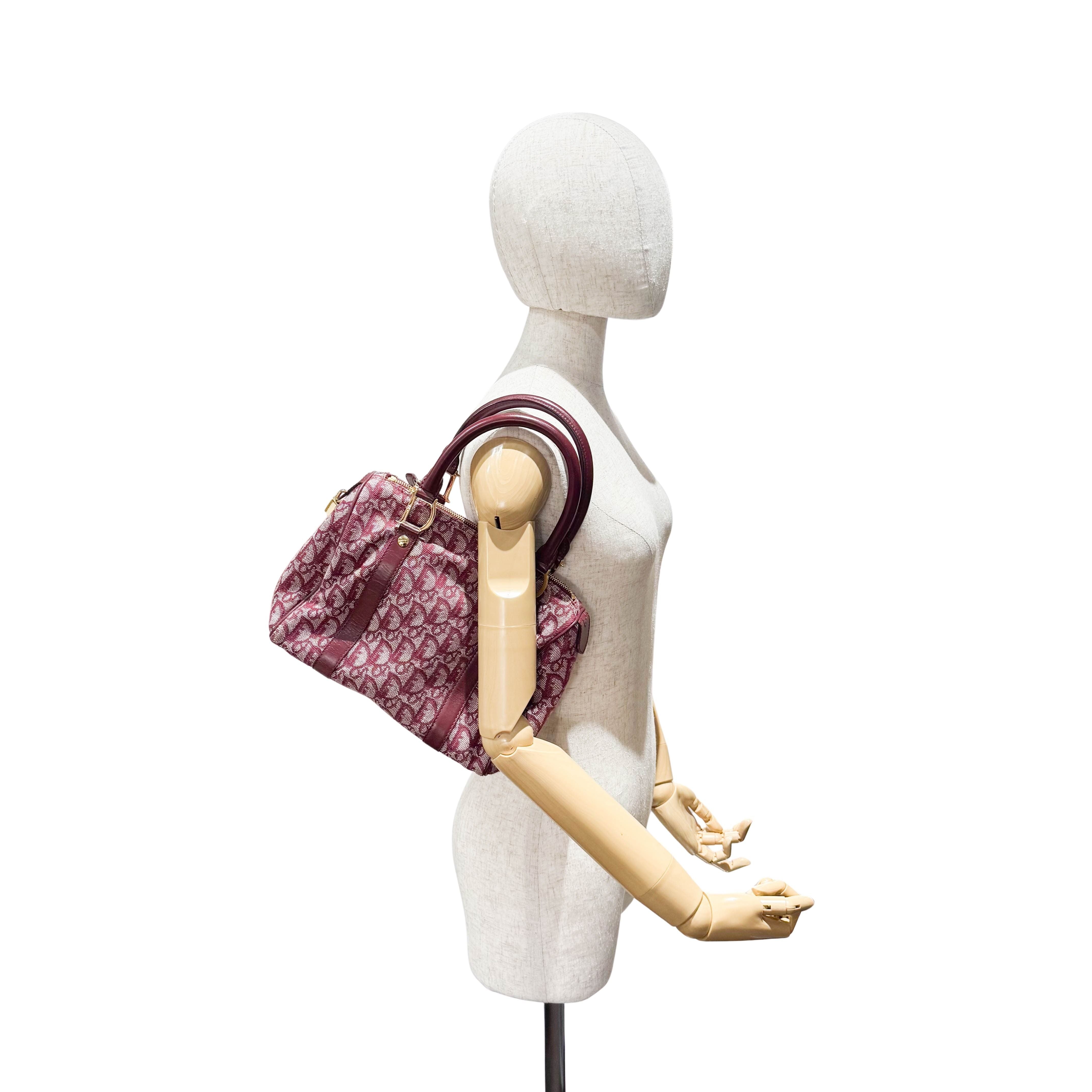 Trotter Red Canvas Handbag