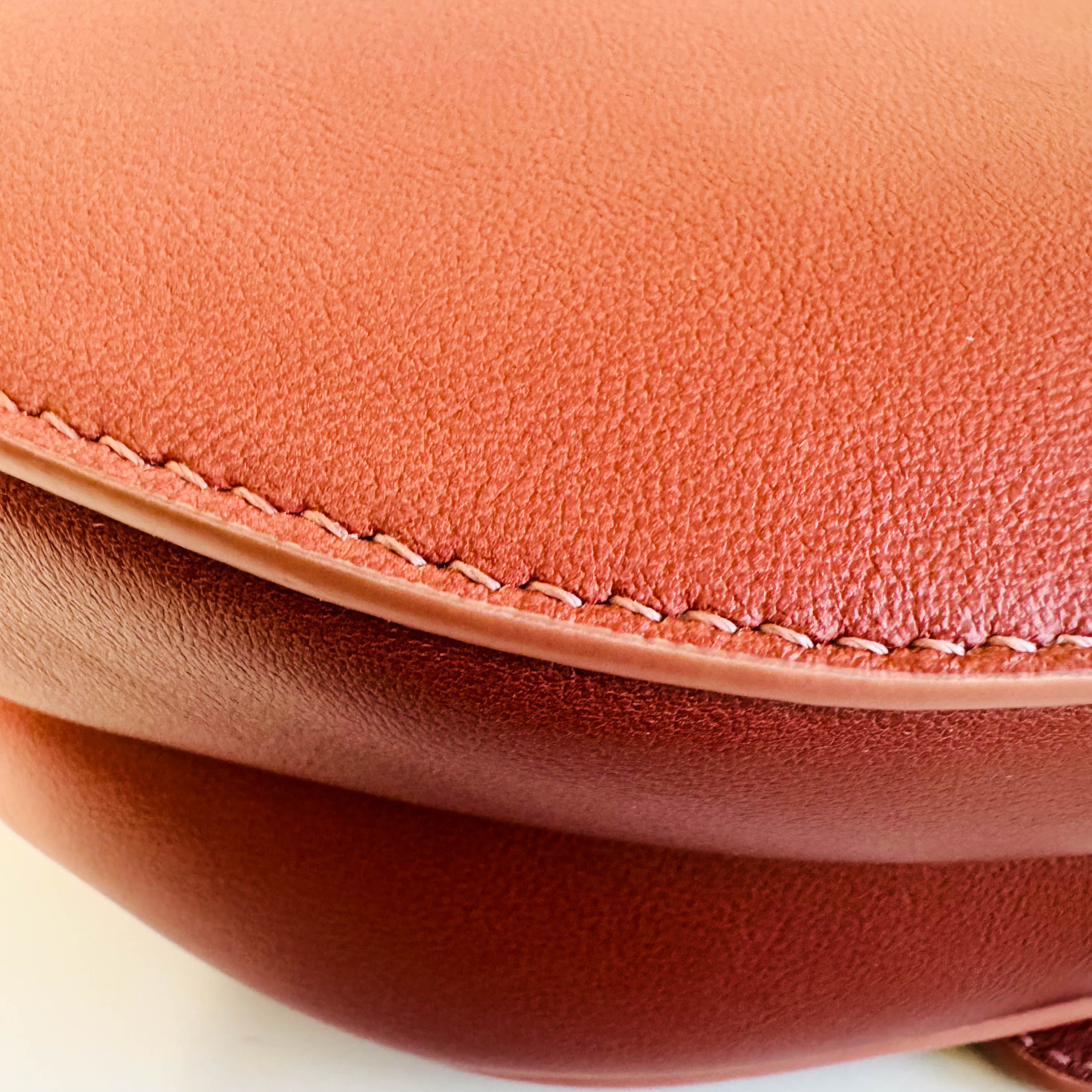 Saddle Gradient Pink Calfskin Bag