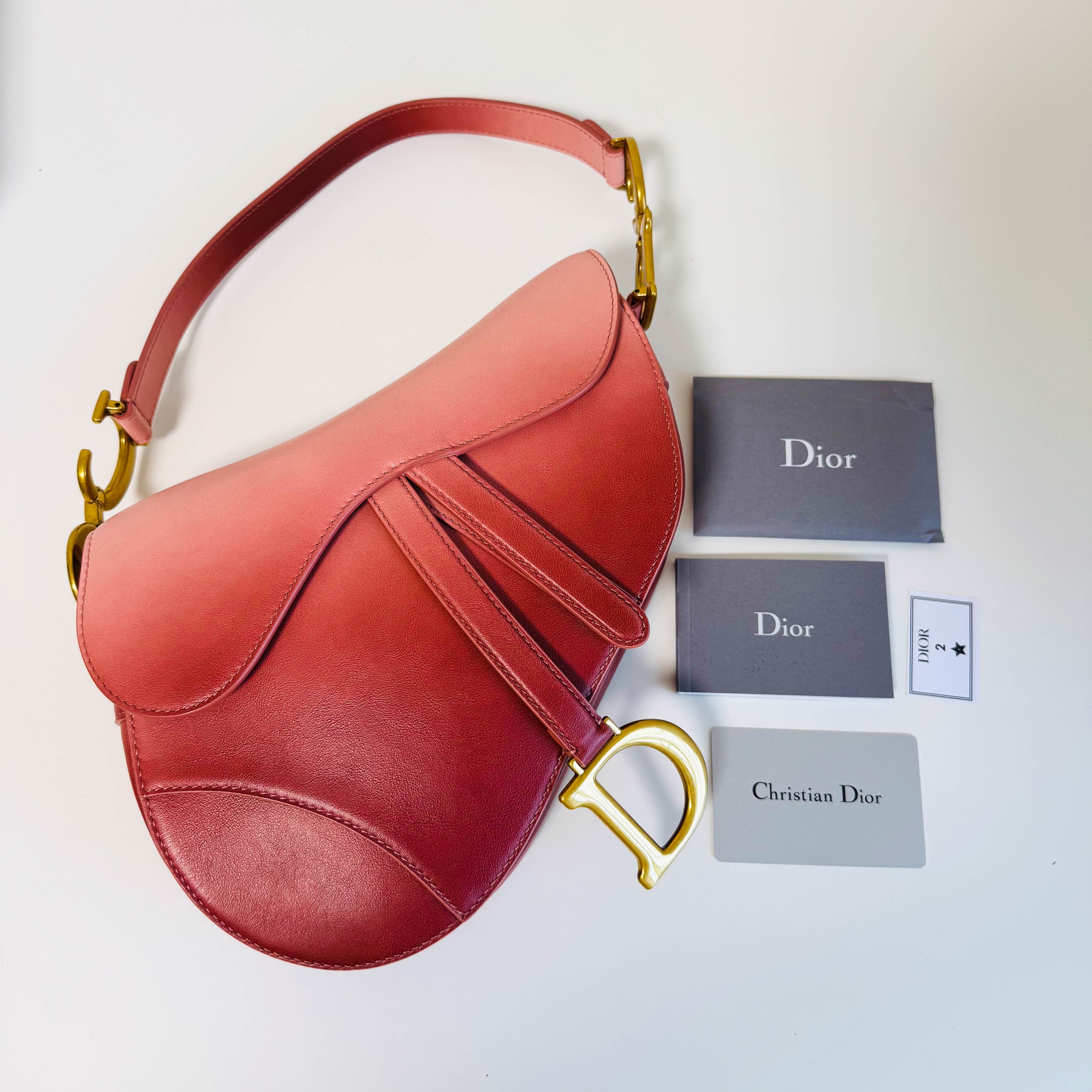 Saddle Gradient Pink Calfskin Bag