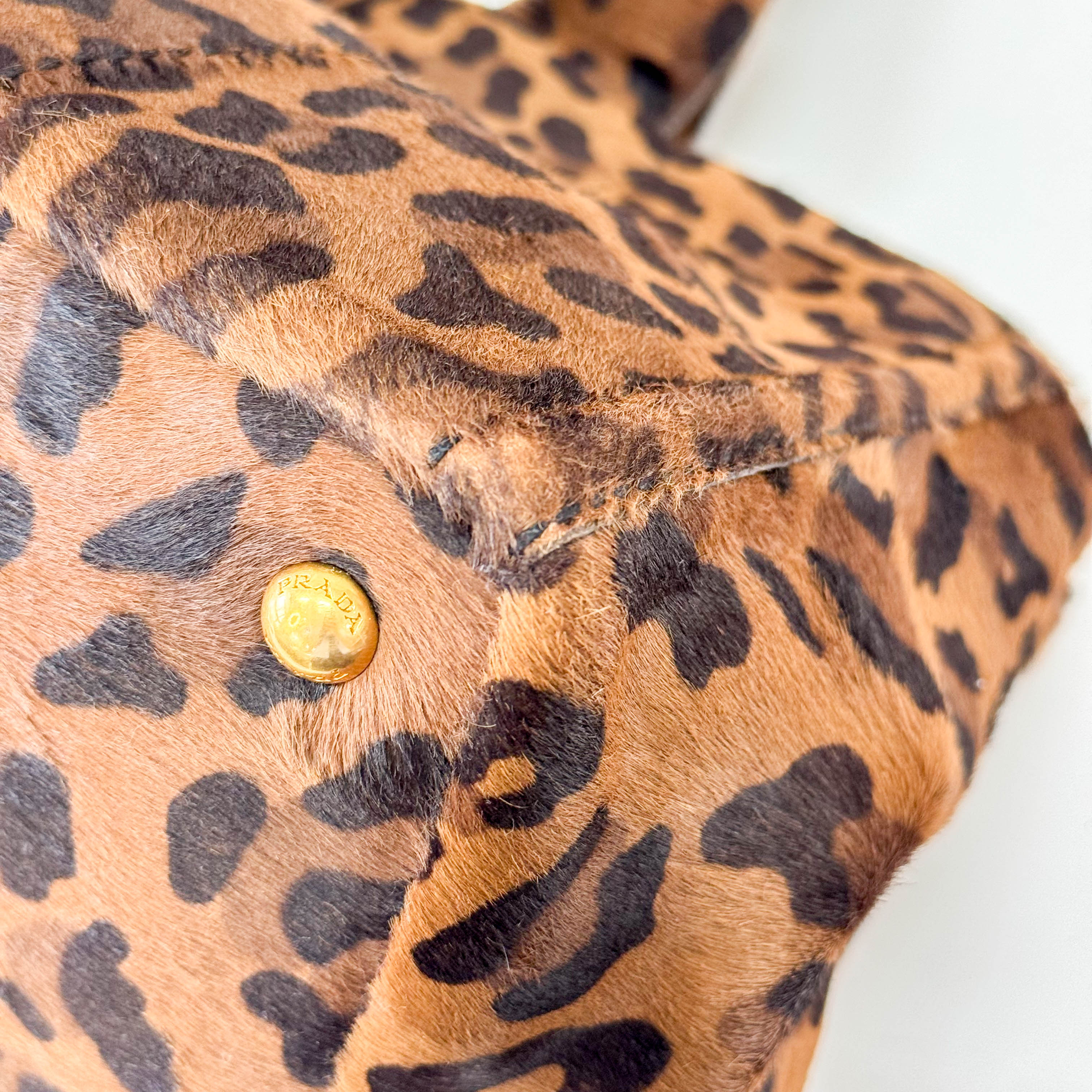 Canapa Leopard Print Tote Bag