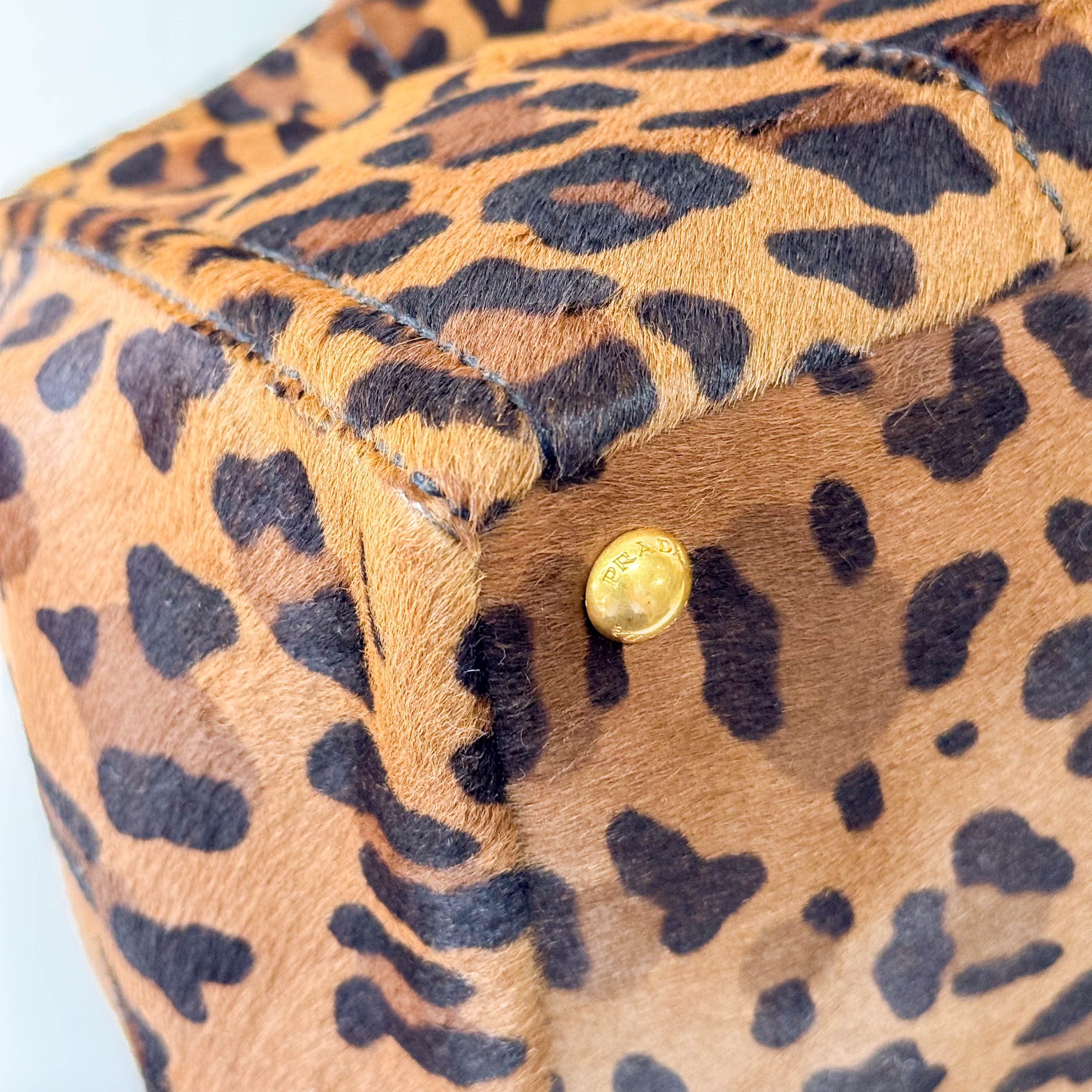 Canapa Leopard Print Tote Bag