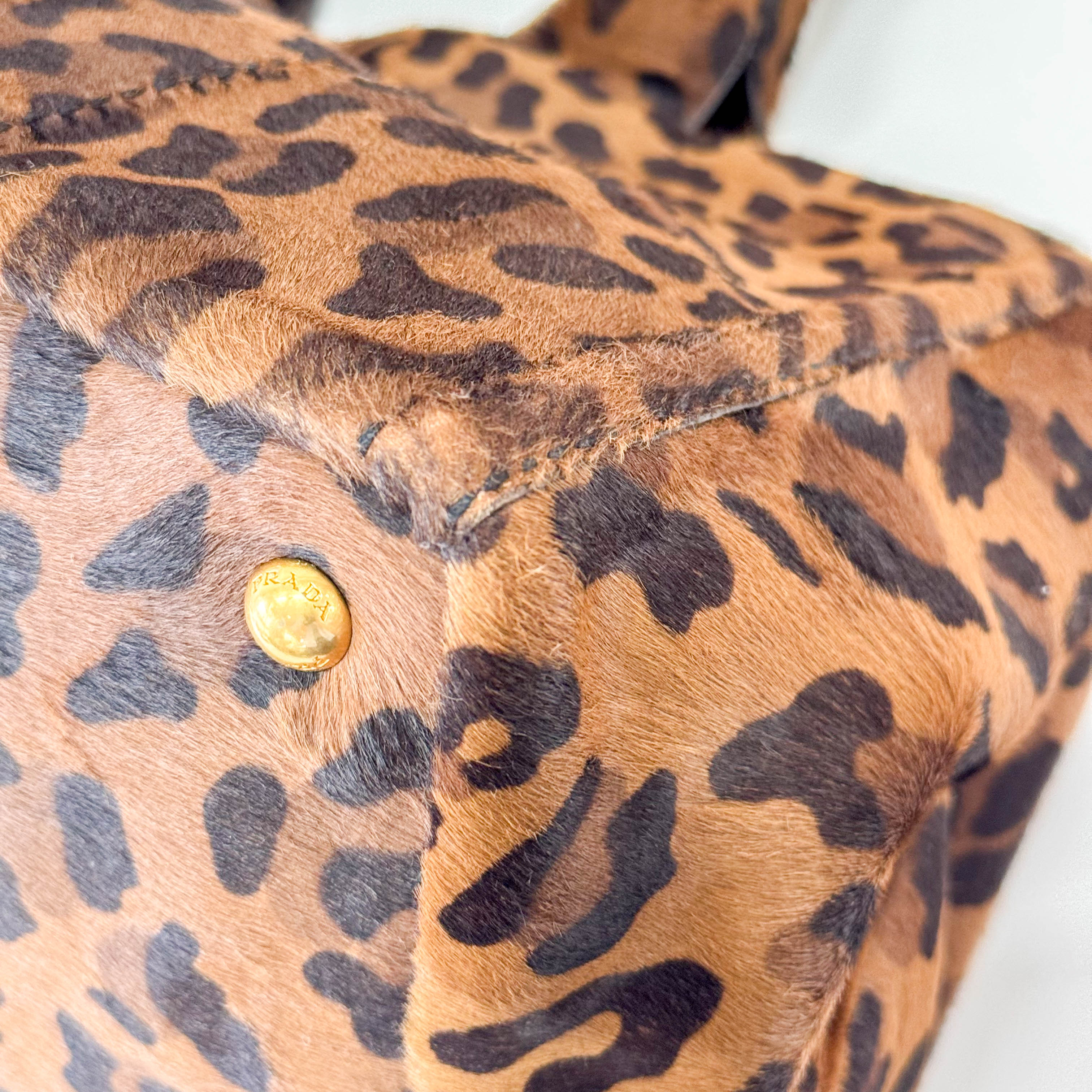 Canapa Leopard Print Tote Bag