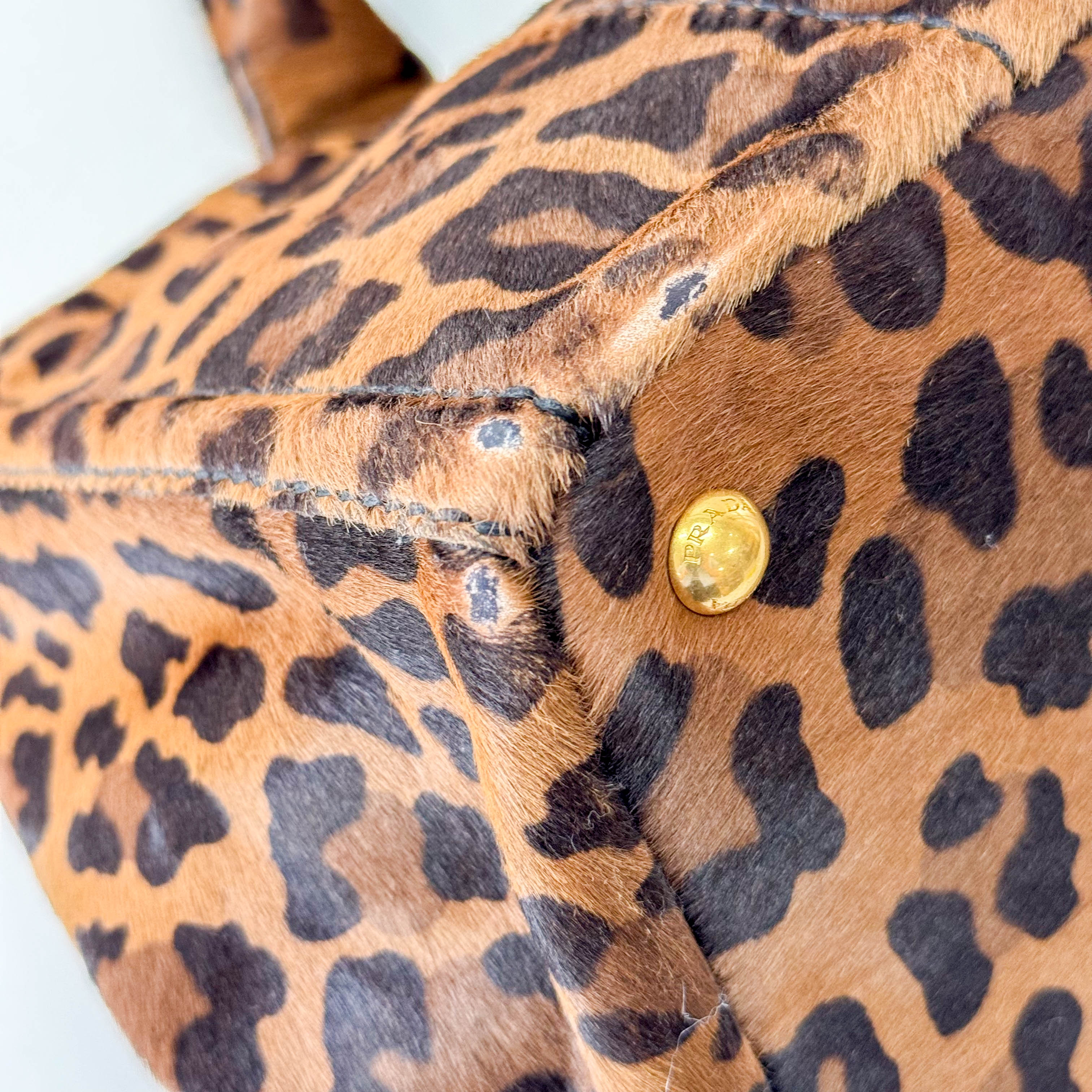 Canapa Leopard Print Tote Bag