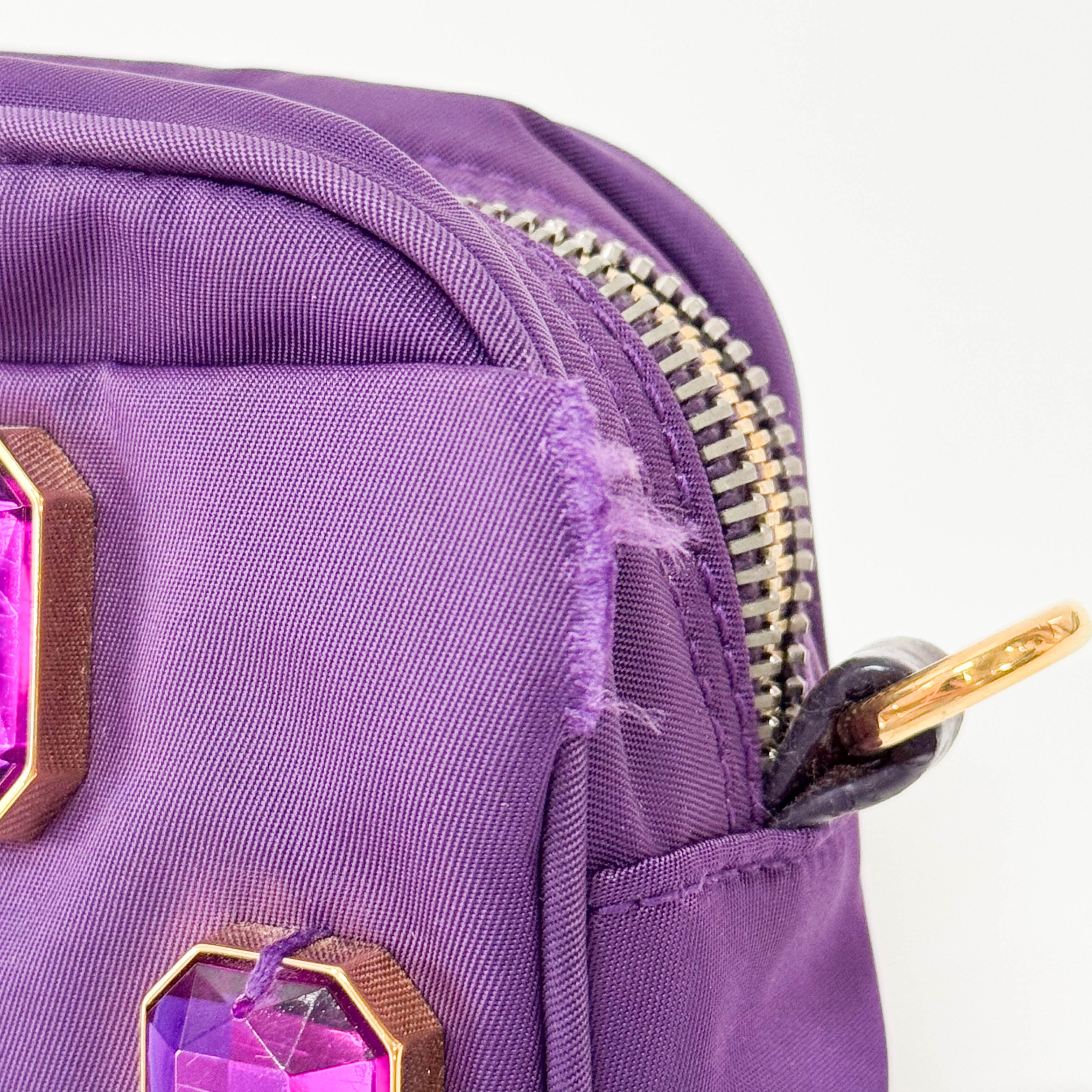 Purple Crystals Nylon Pochette Shoulder Bag