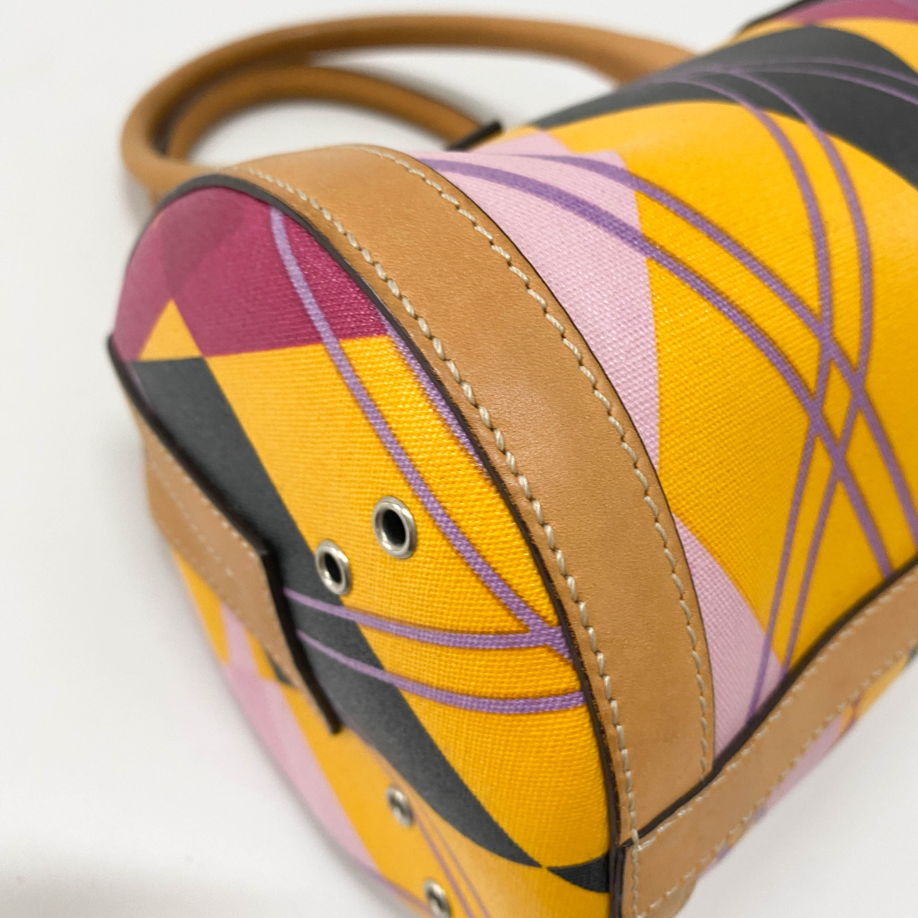 Boston Mini Multi-Colour Coated Canvas Handbag