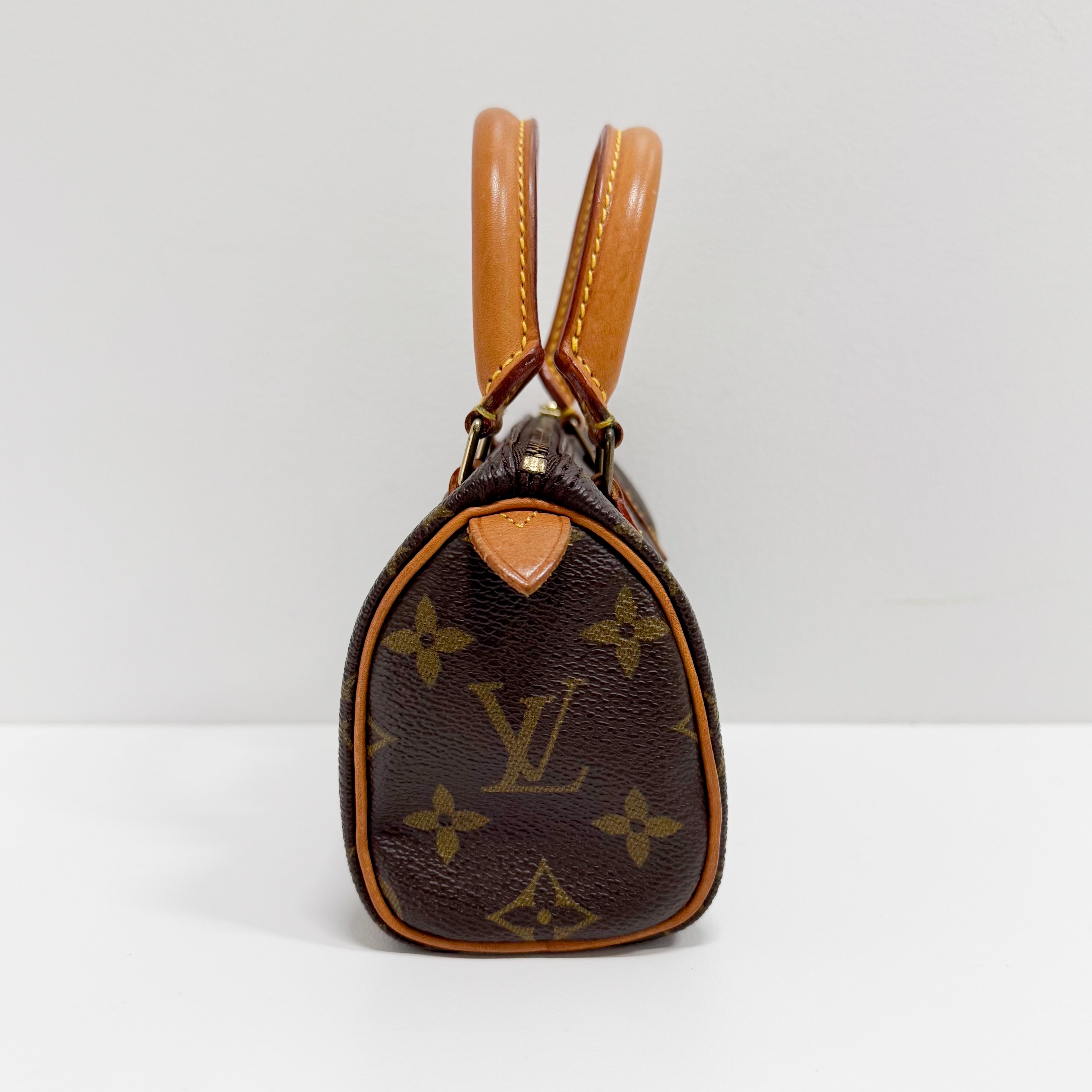 Mini Speedy Monogram Canvas Accessory Handbag