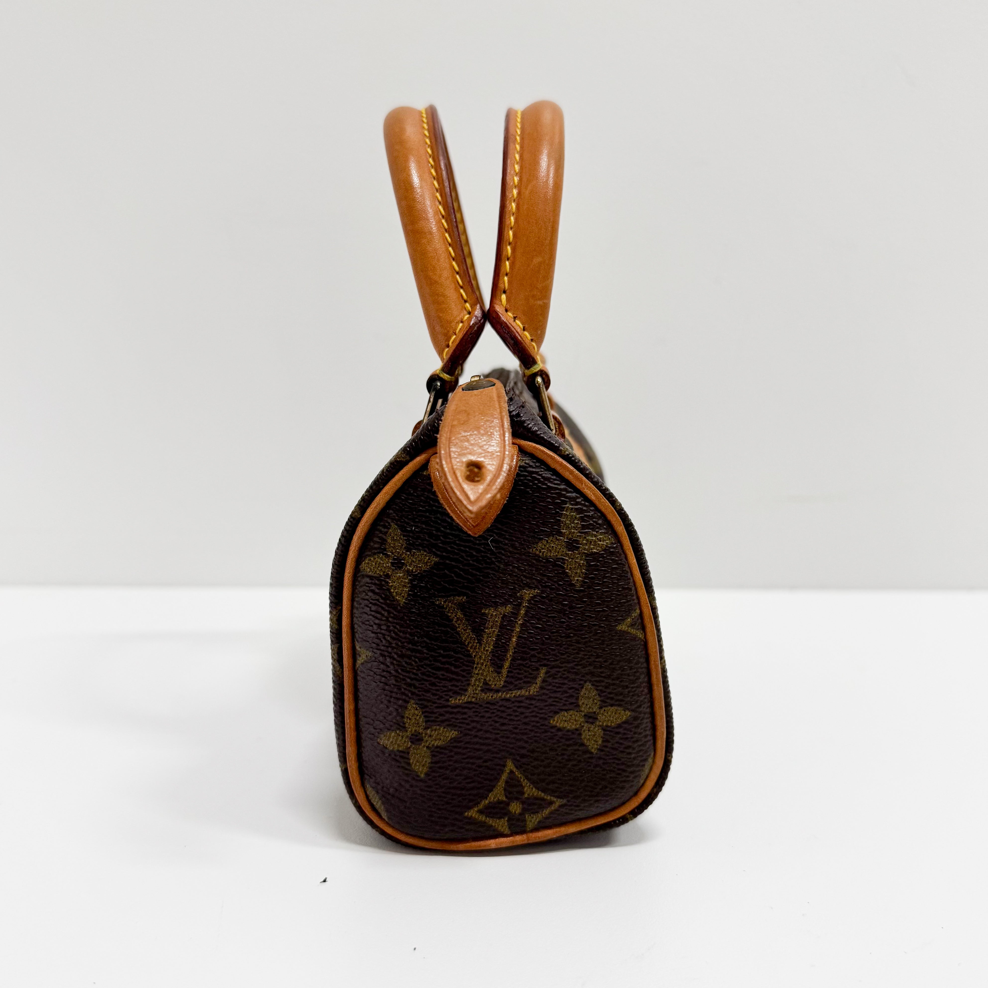 Mini Speedy Monogram Canvas Accessory Handbag