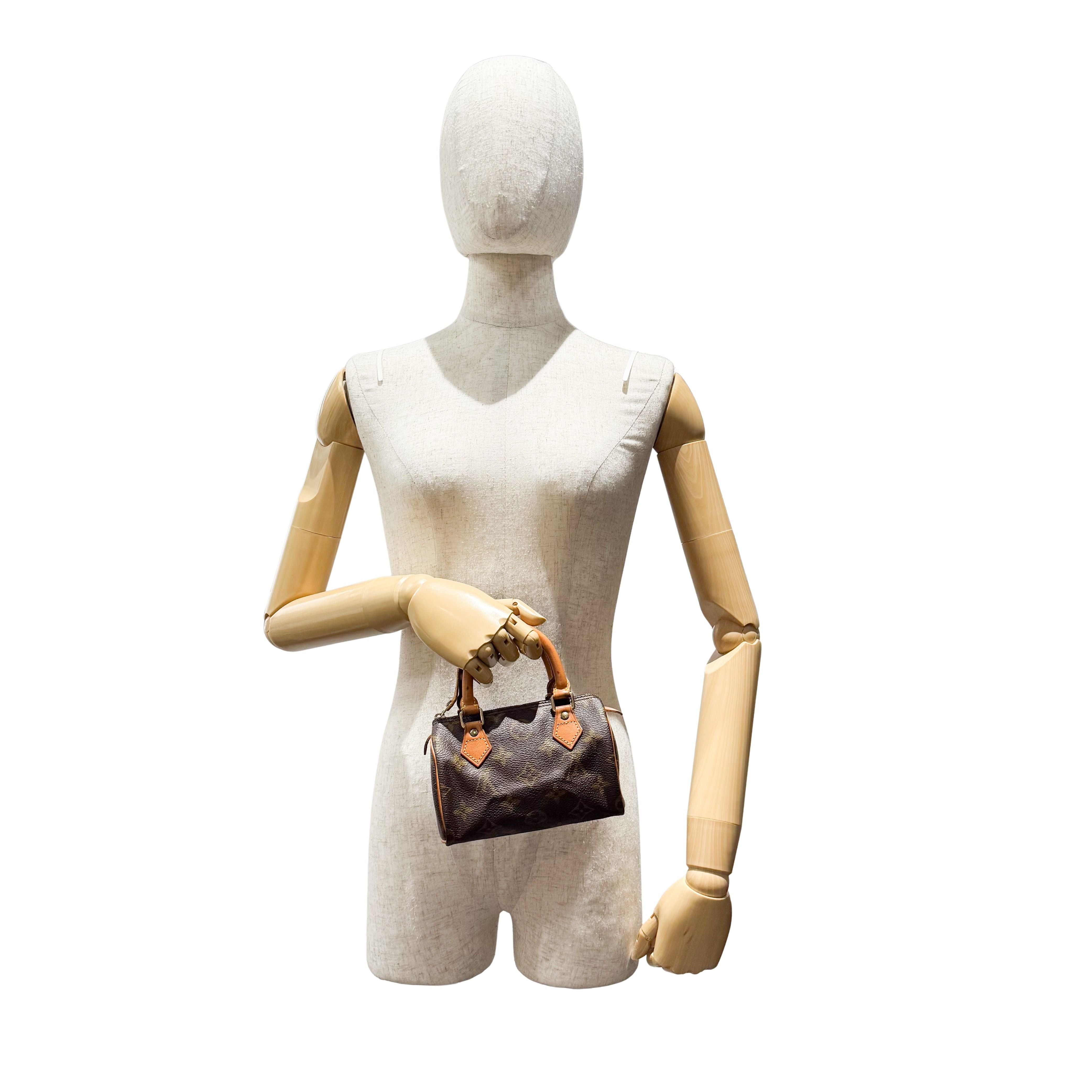 Mini Speedy Monogram Canvas Accessory Handbag