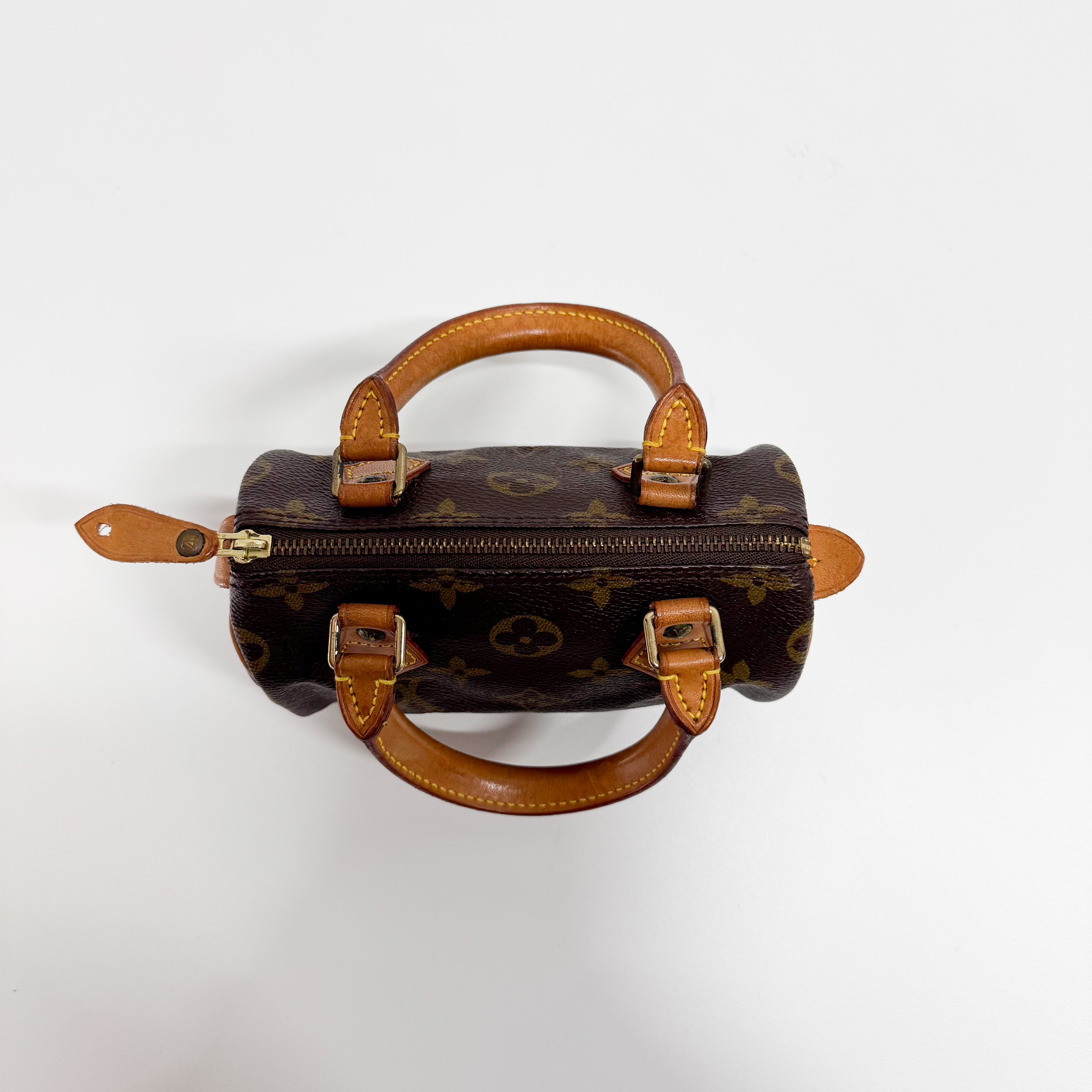 Mini Speedy Monogram Canvas Accessory Handbag