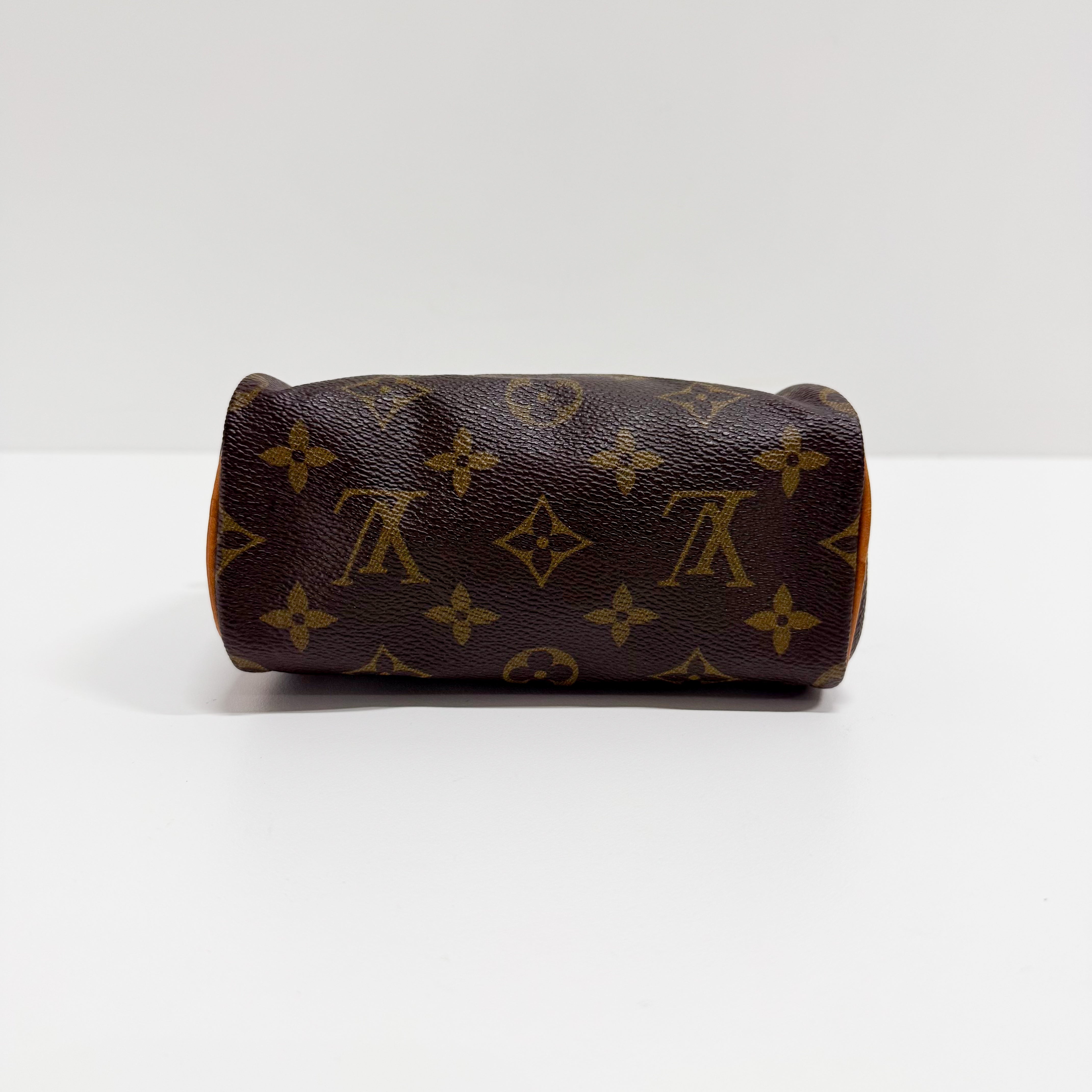 Mini Speedy Monogram Canvas Accessory Handbag