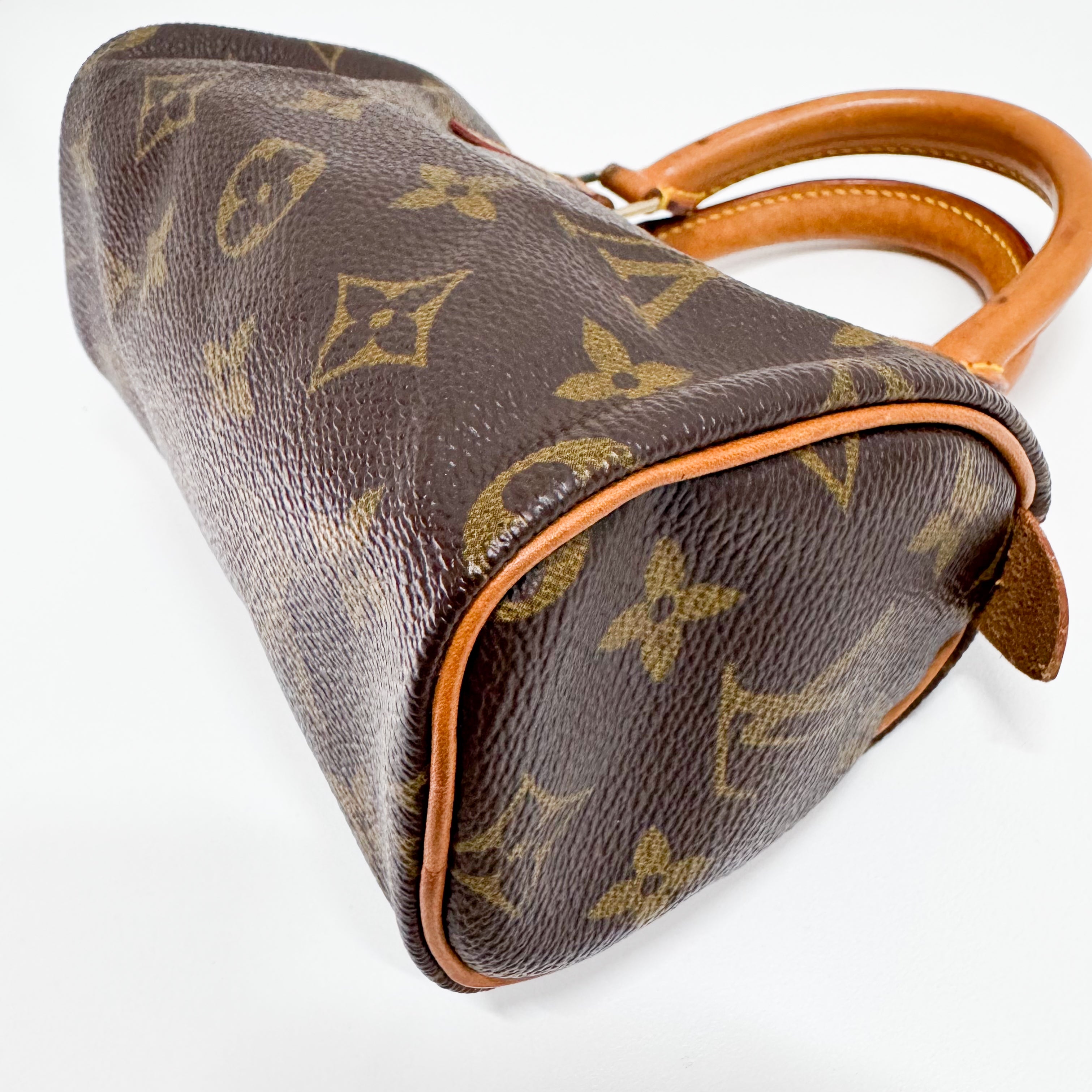 Mini Speedy Monogram Canvas Accessory Handbag
