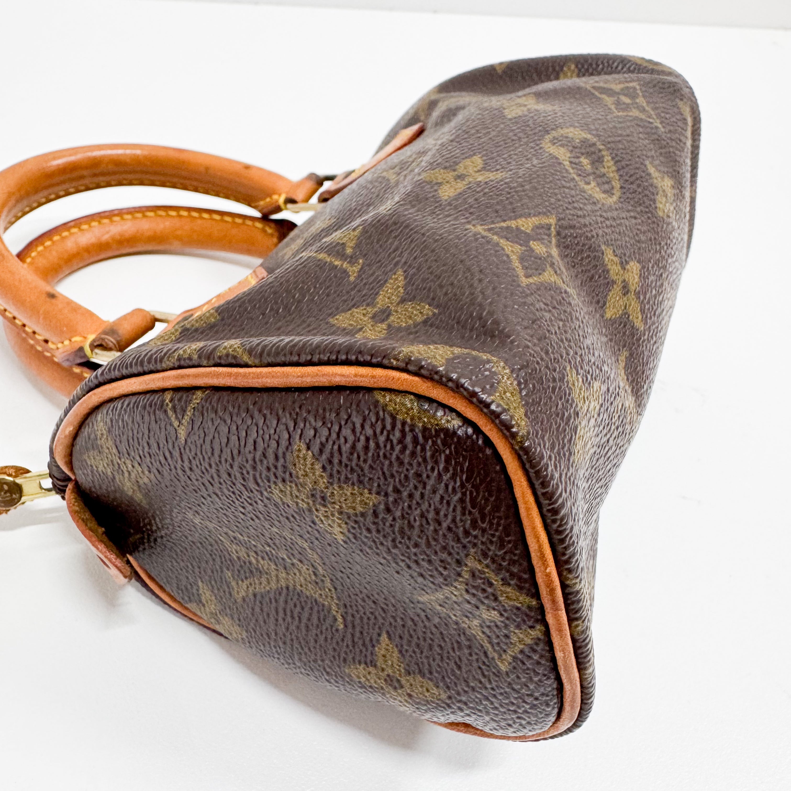 Mini Speedy Monogram Canvas Accessory Handbag