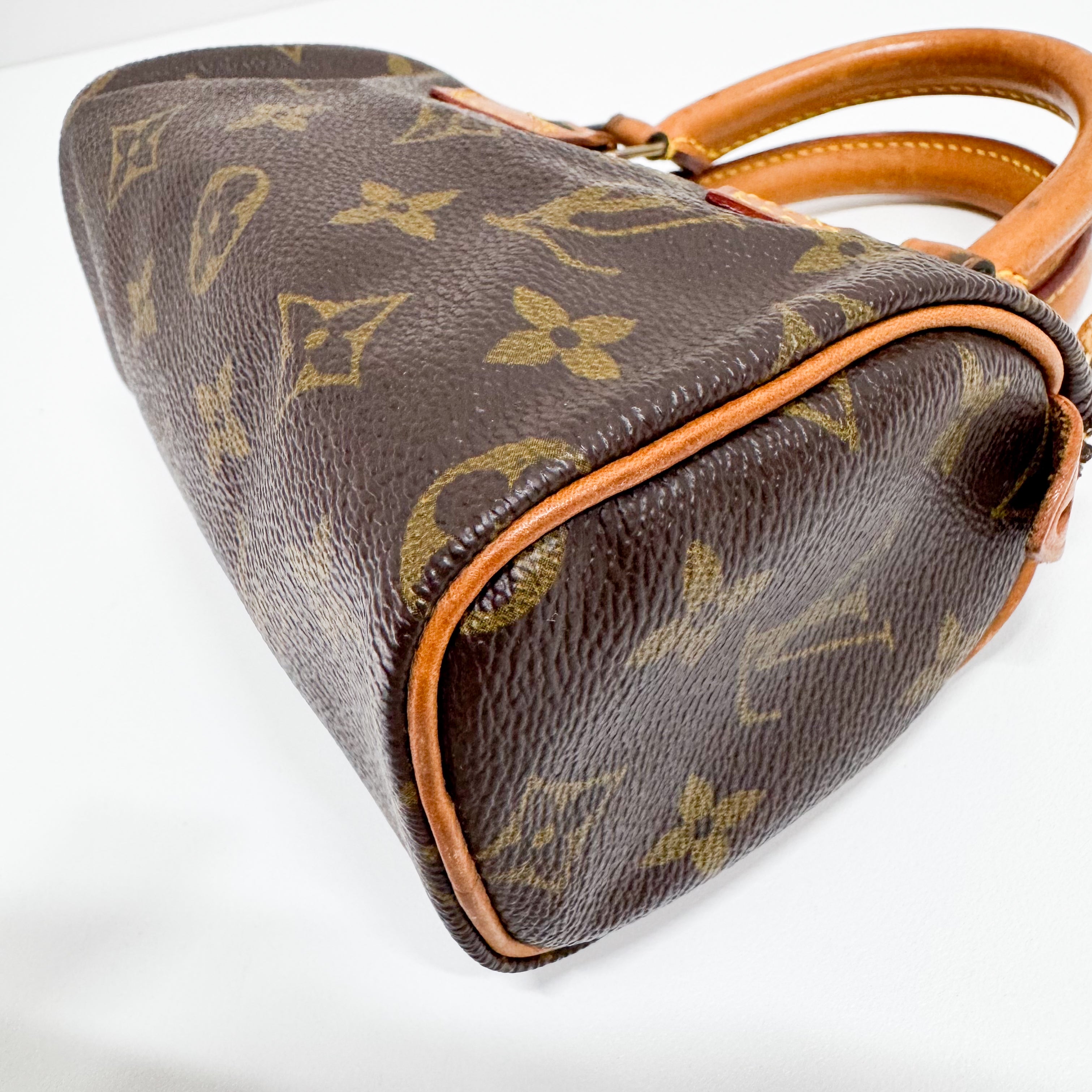 Mini Speedy Monogram Canvas Accessory Handbag