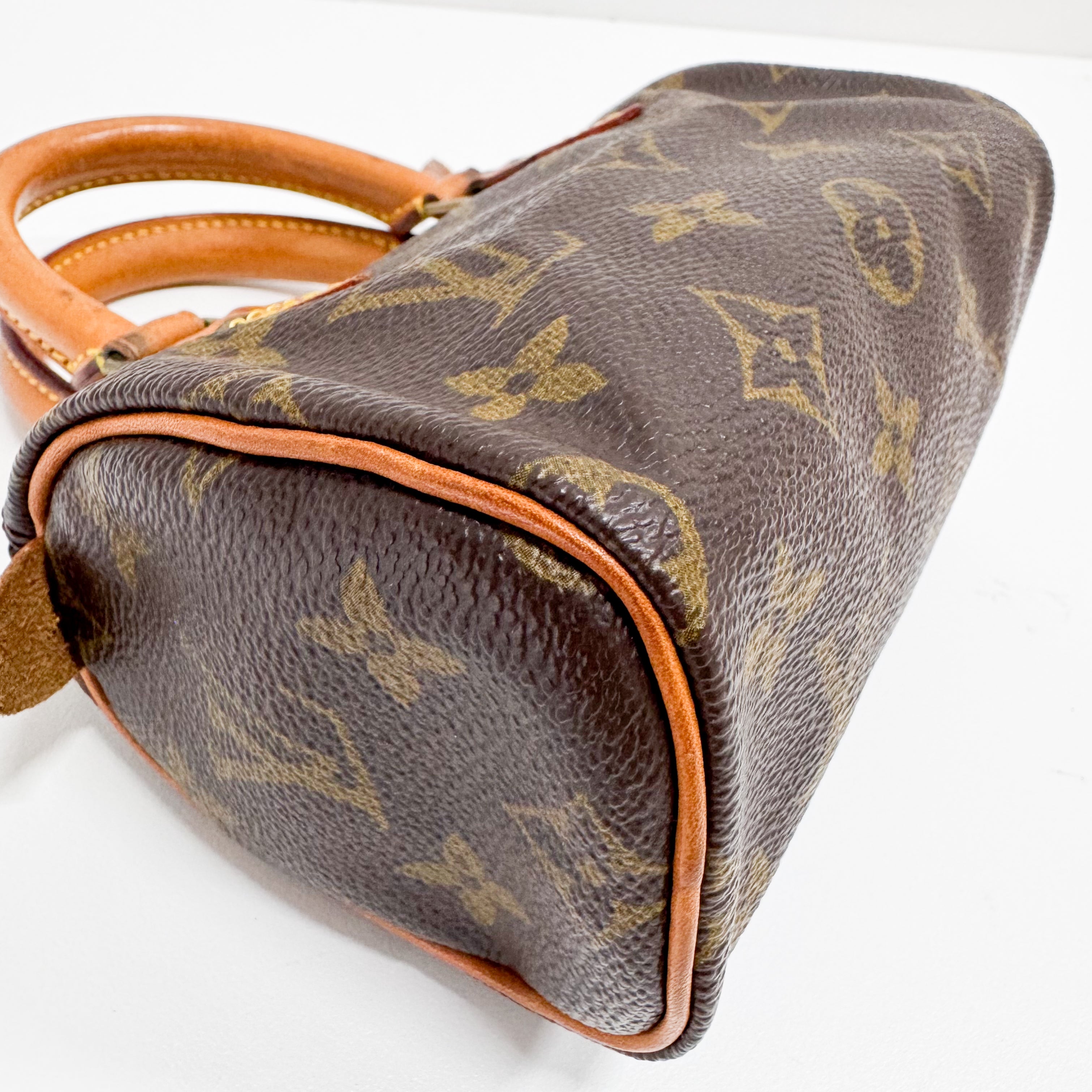 Mini Speedy Monogram Canvas Accessory Handbag