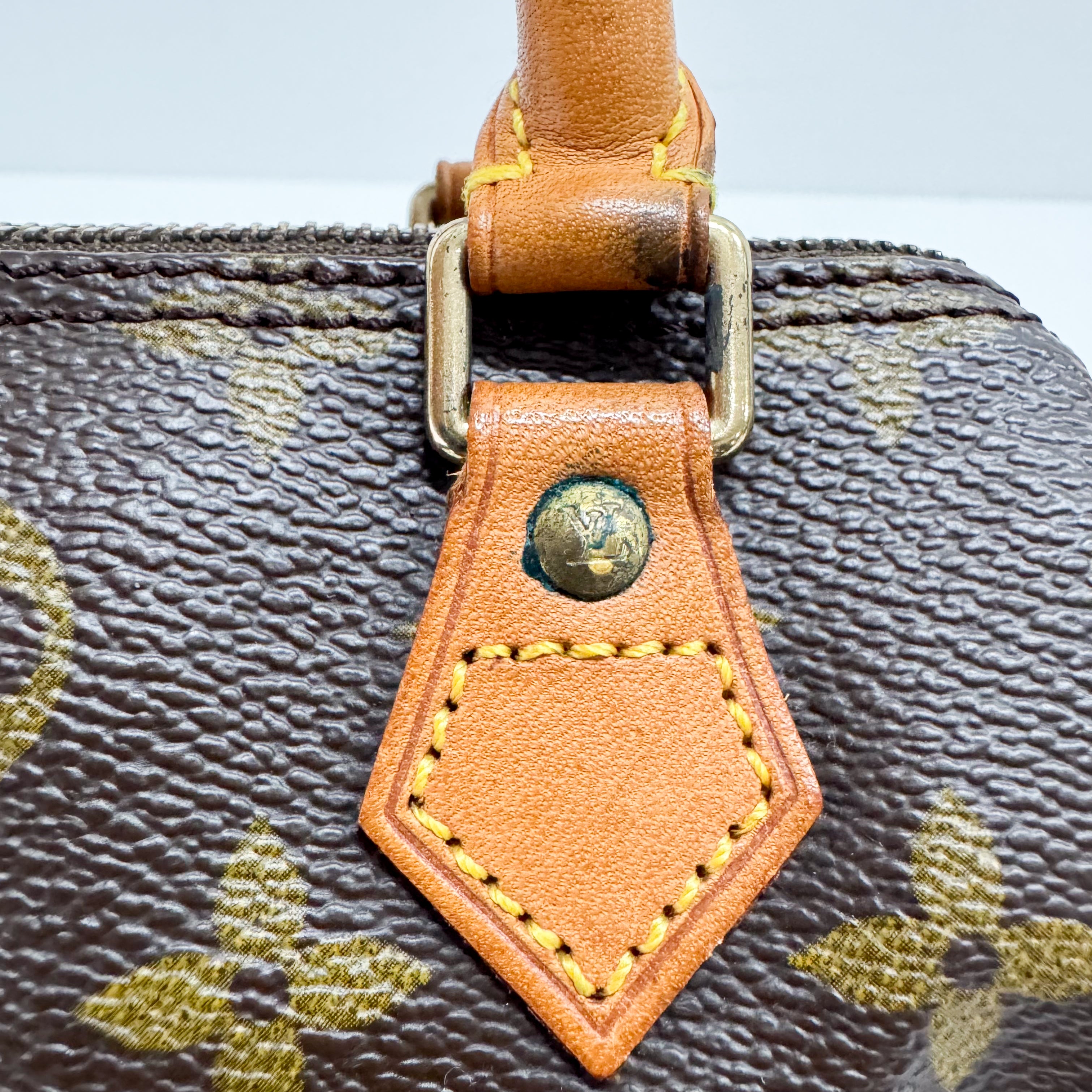 Mini Speedy Monogram Canvas Accessory Handbag