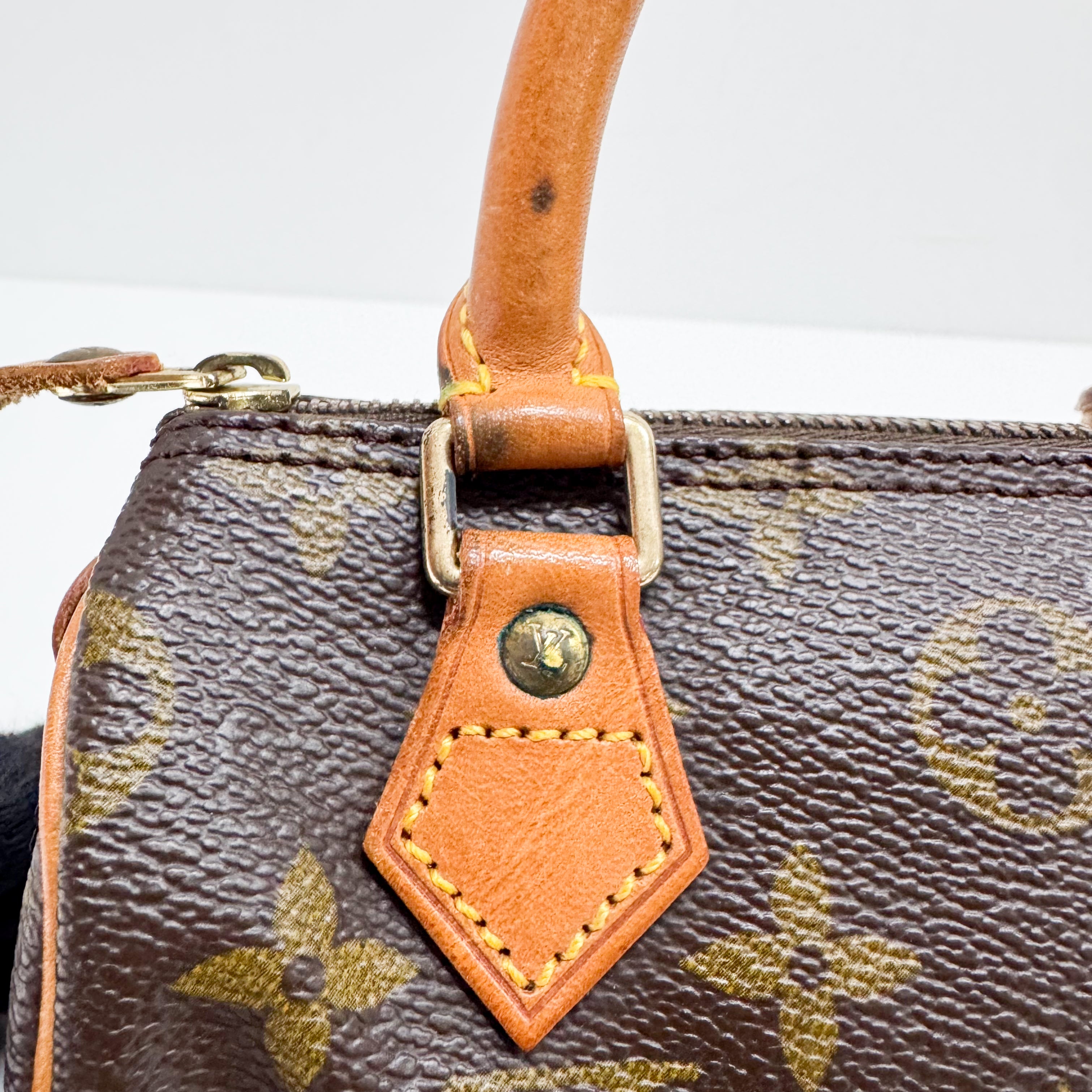 Mini Speedy Monogram Canvas Accessory Handbag